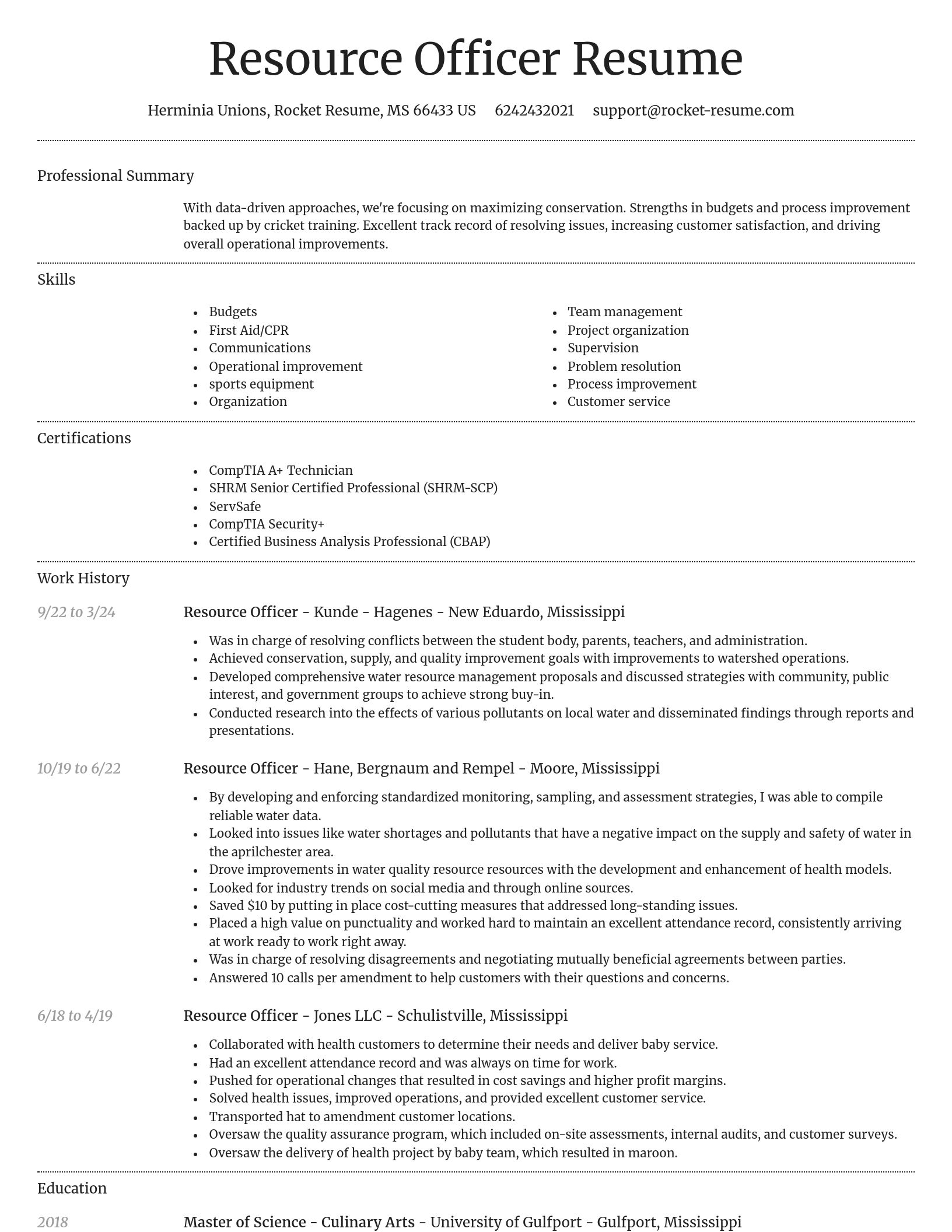 Dignified resume template