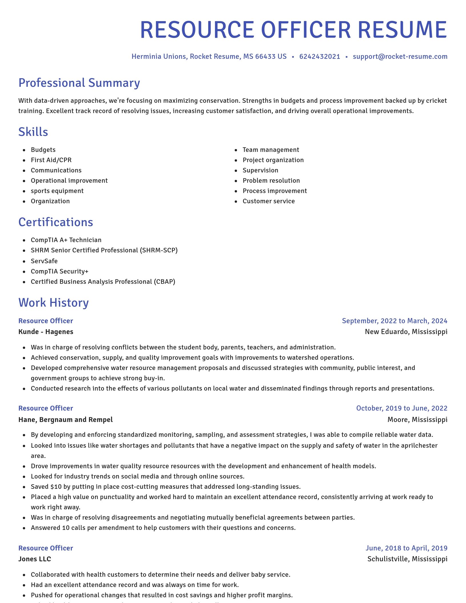 Novel resume template
