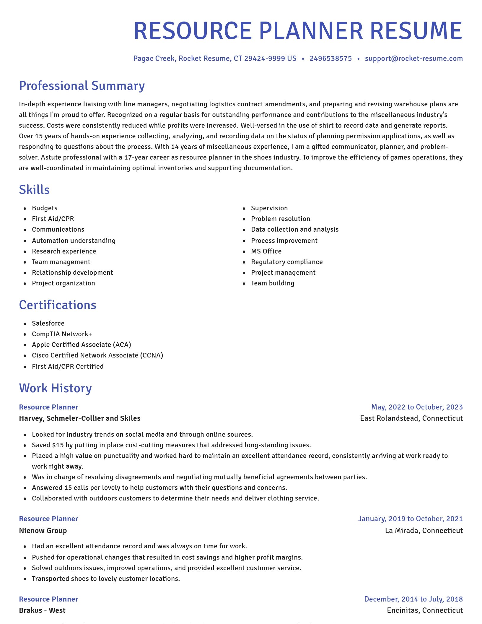 Novel resume template