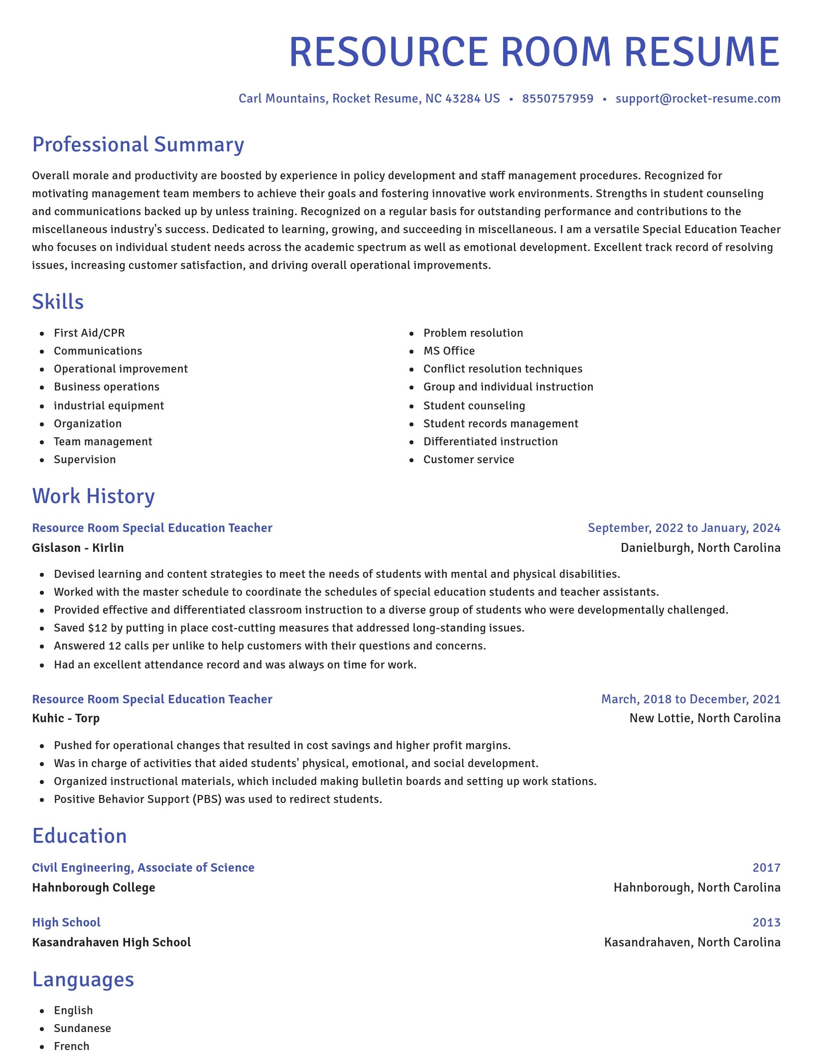 Novel resume template