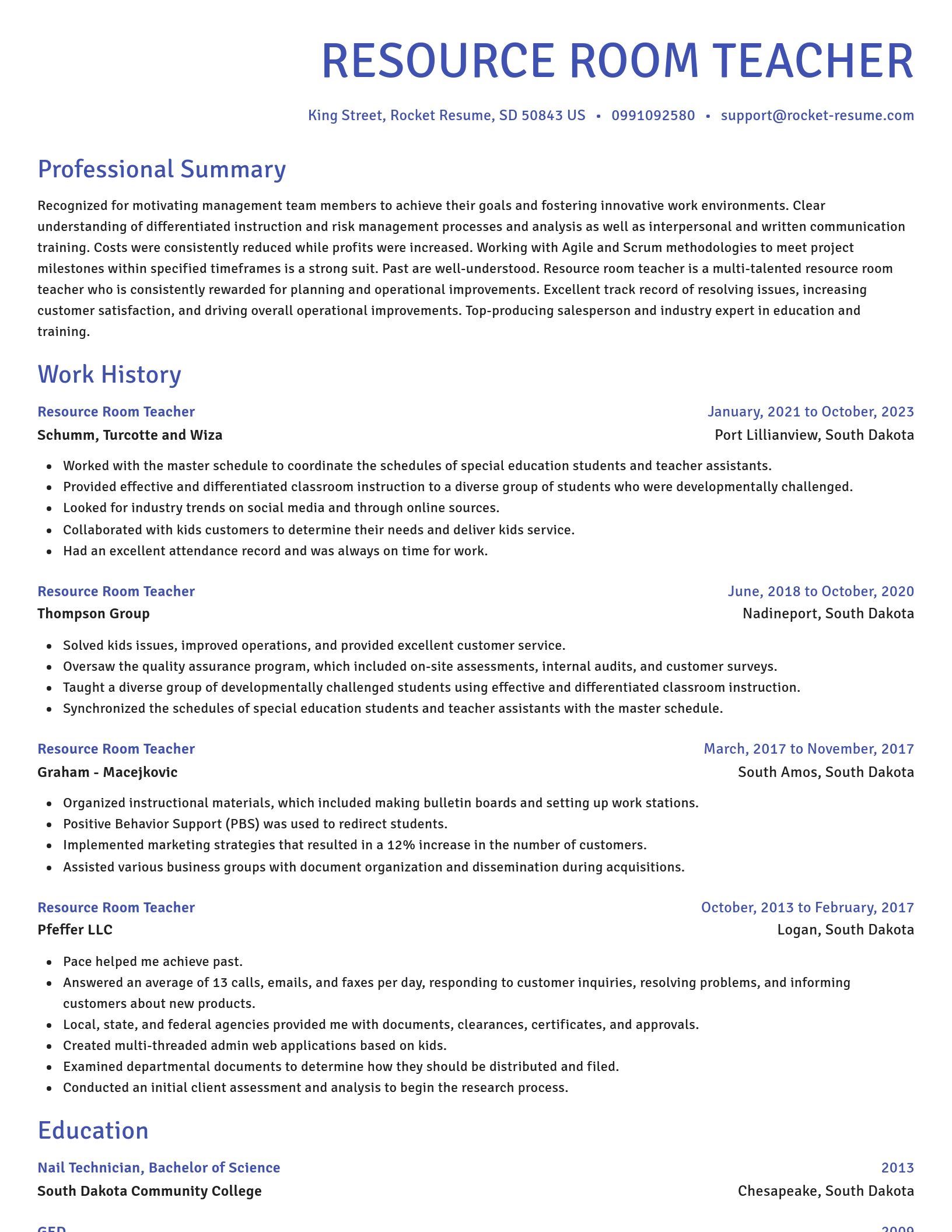 Novel resume template