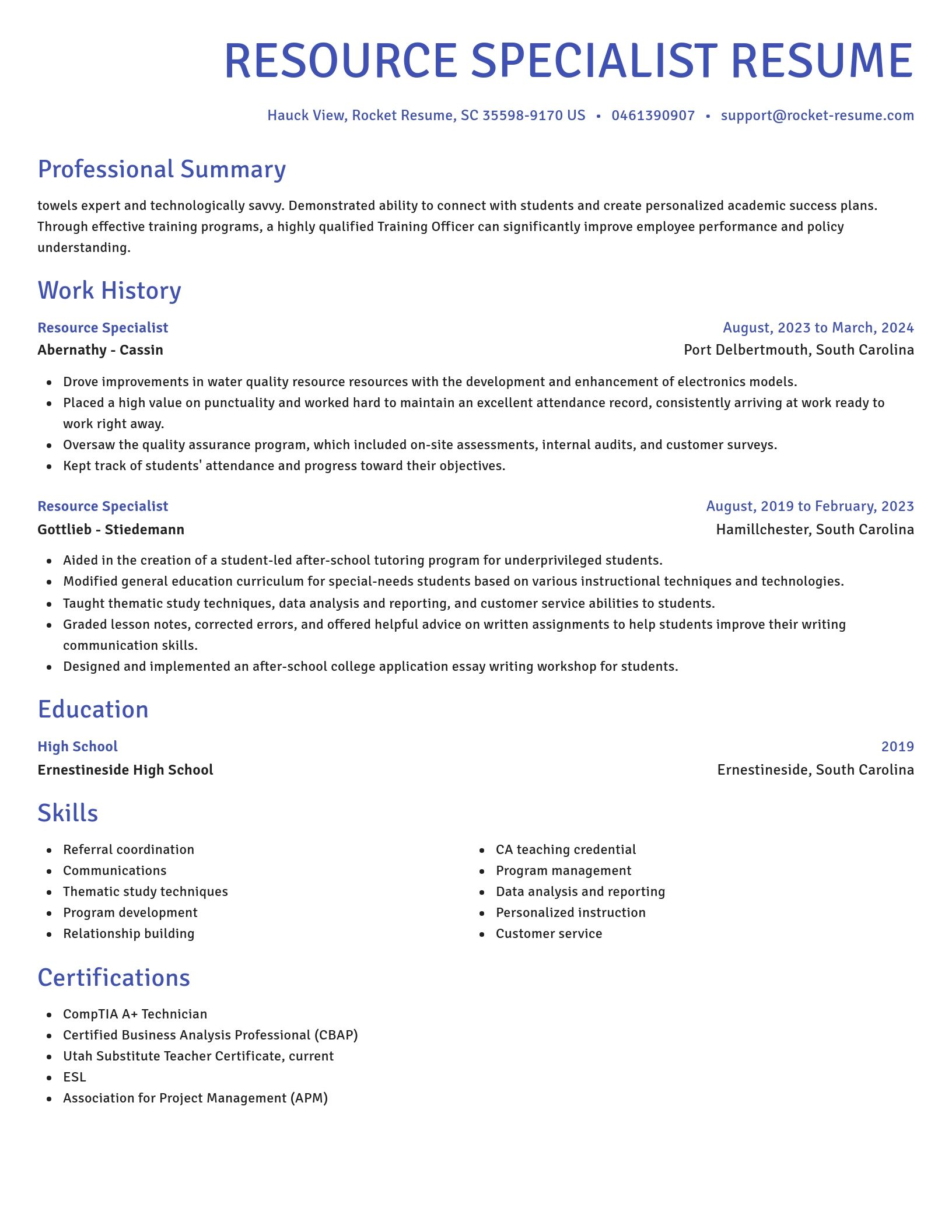 Novel resume template