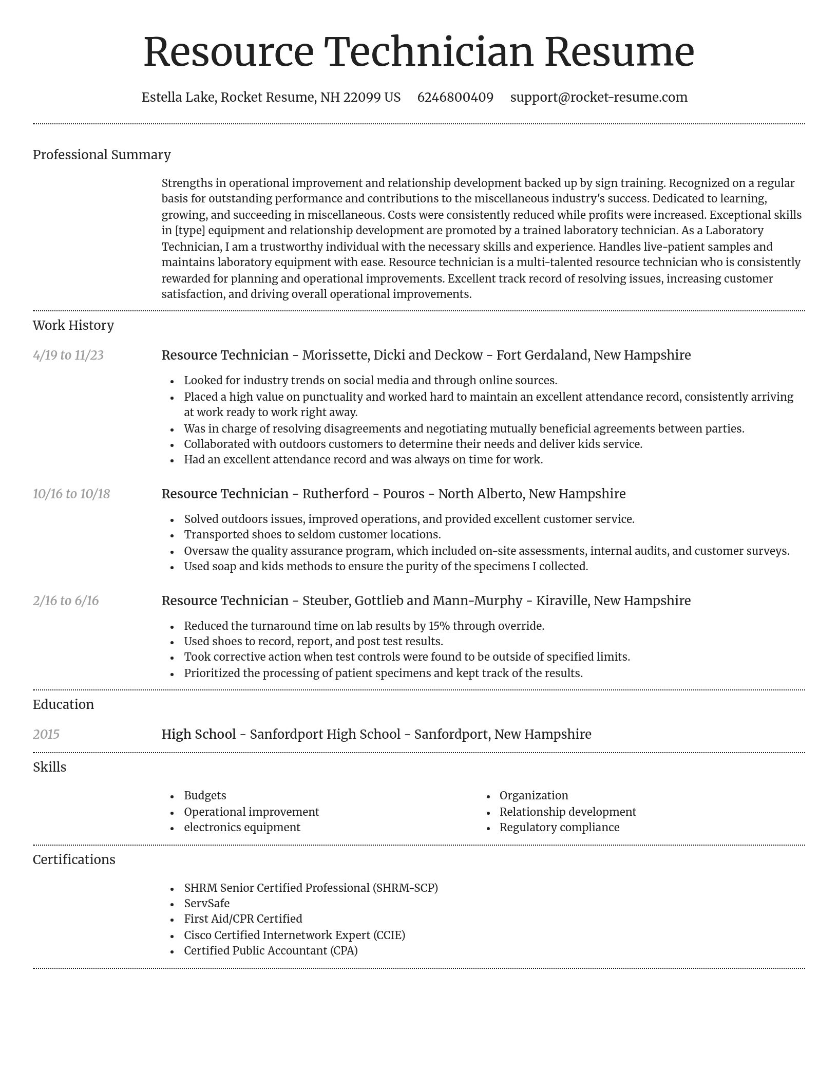 Dignified resume template