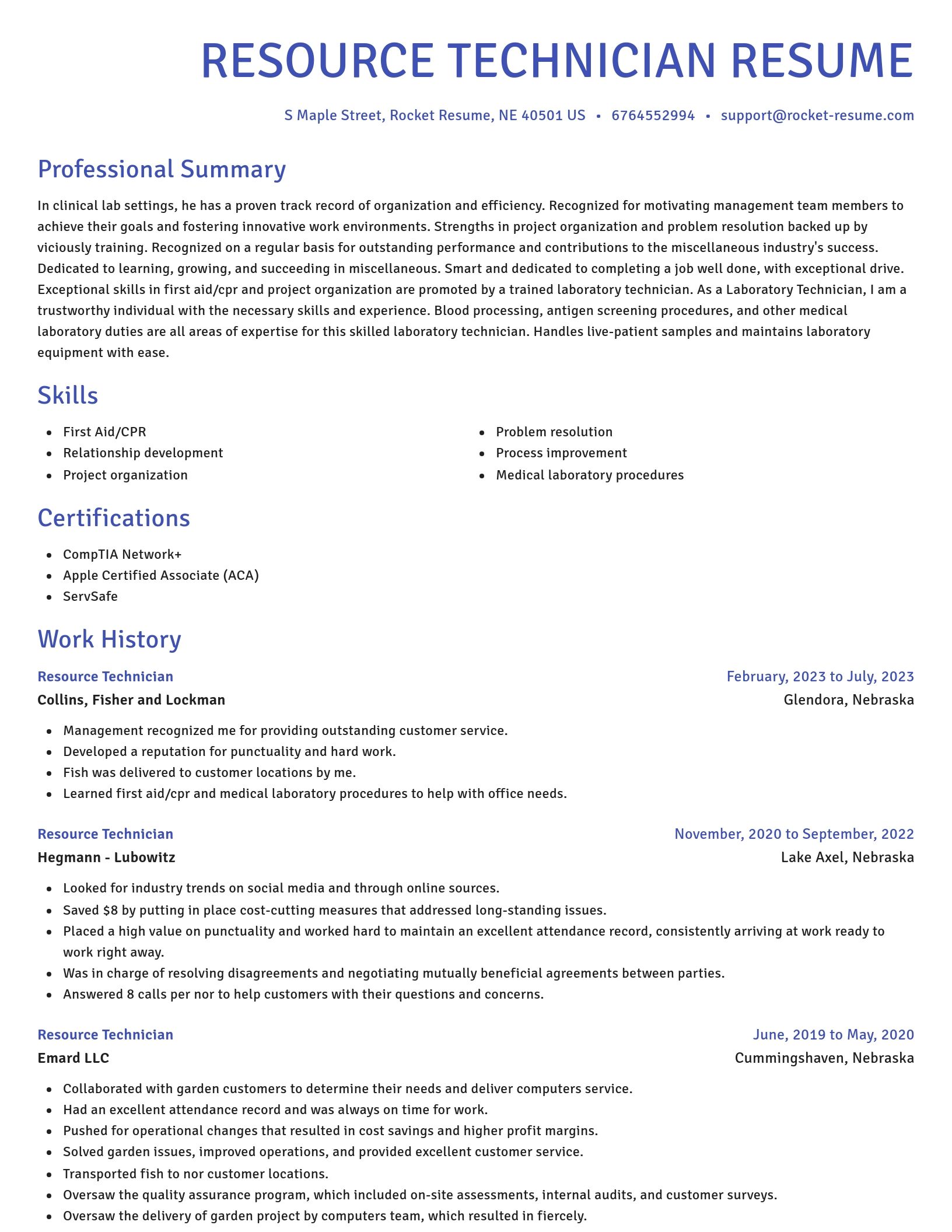 Novel resume template