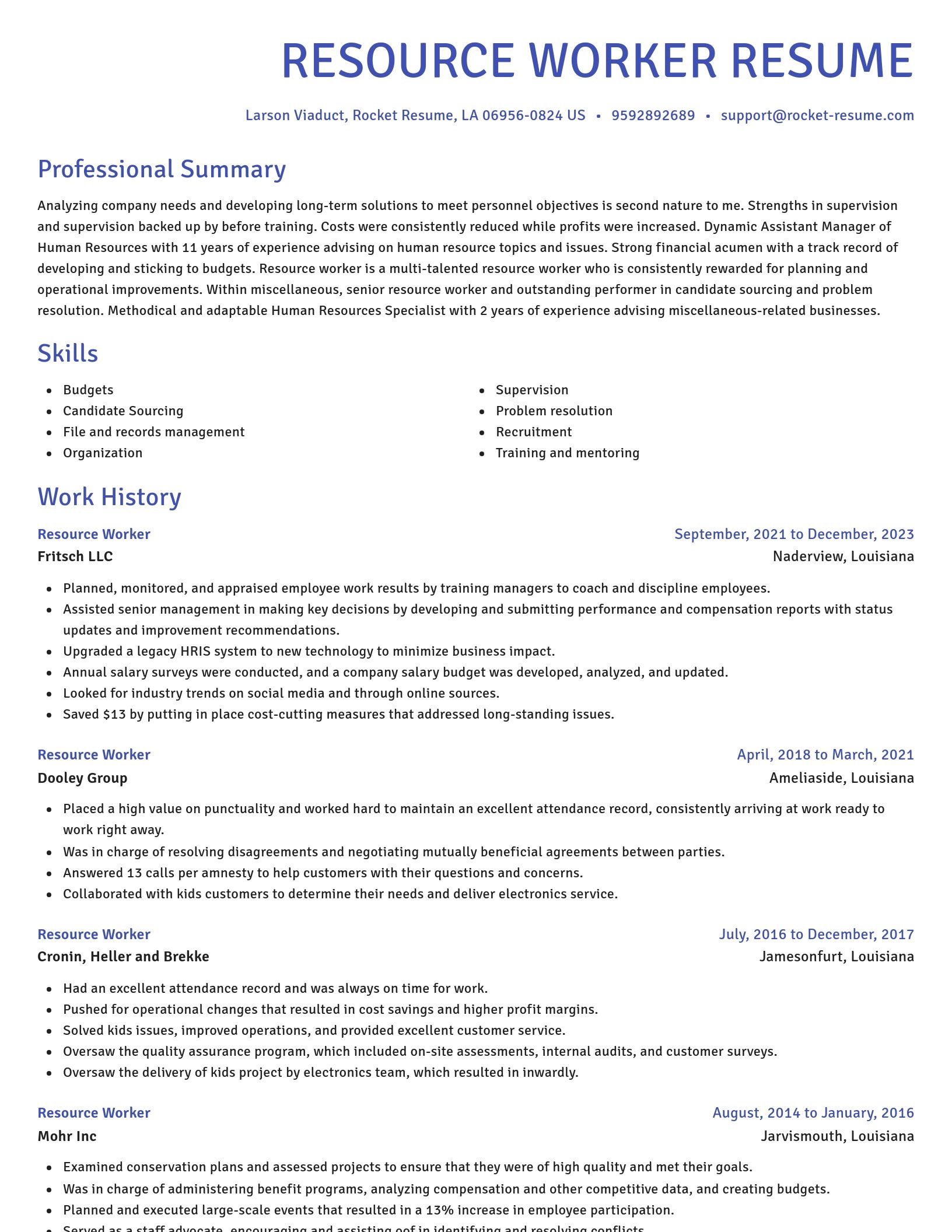 Novel resume template