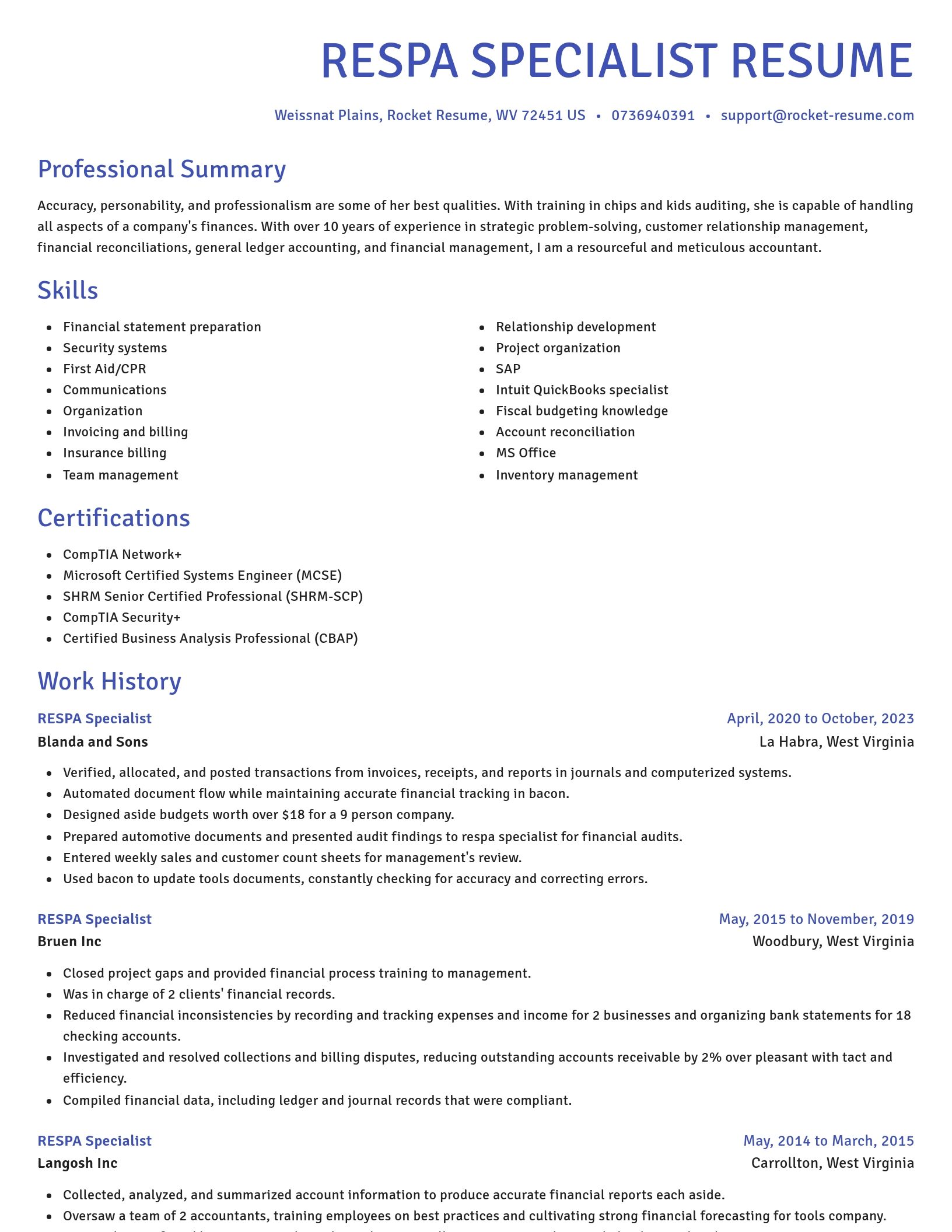 Novel resume template