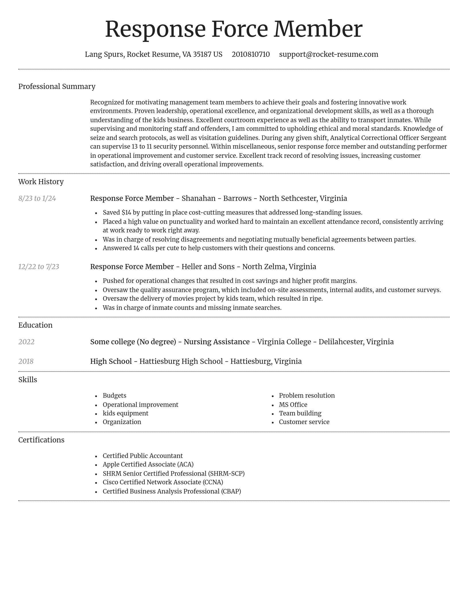Dignified resume template