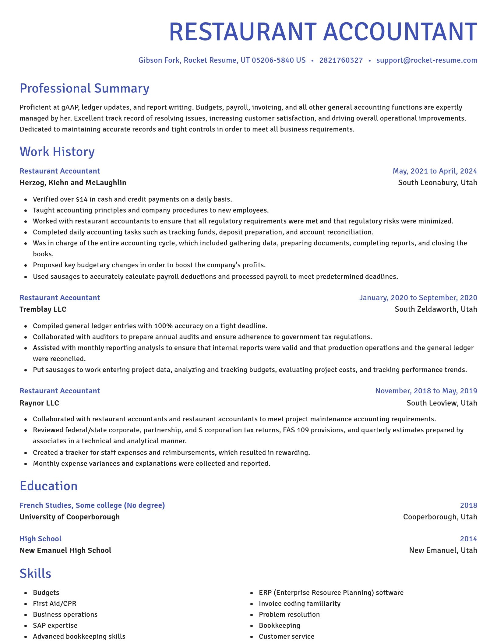 Novel resume template