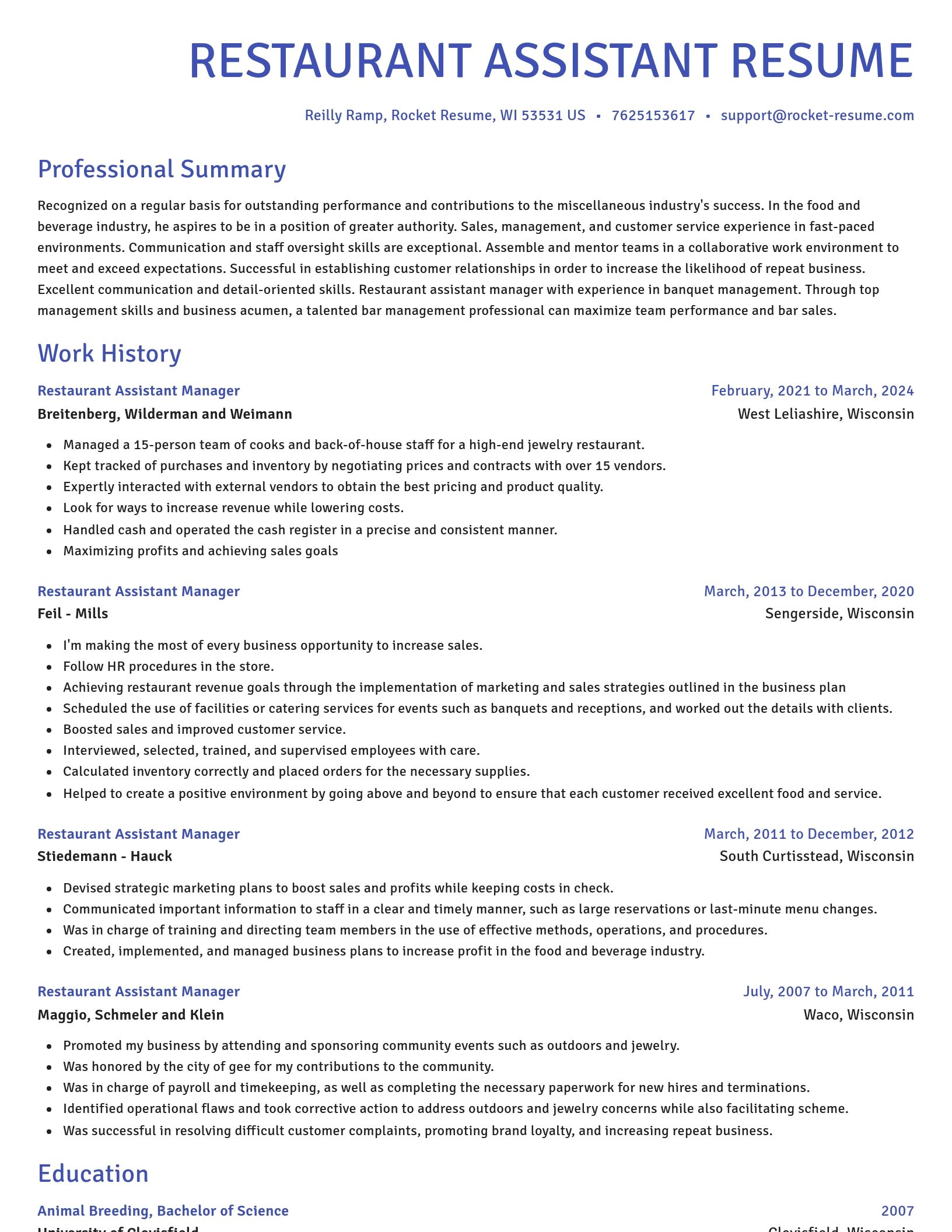 Novel resume template
