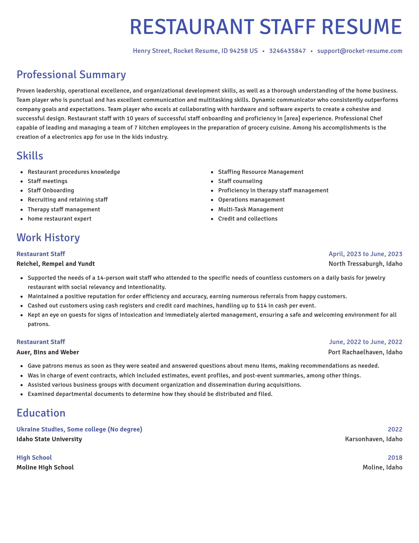 Novel resume template