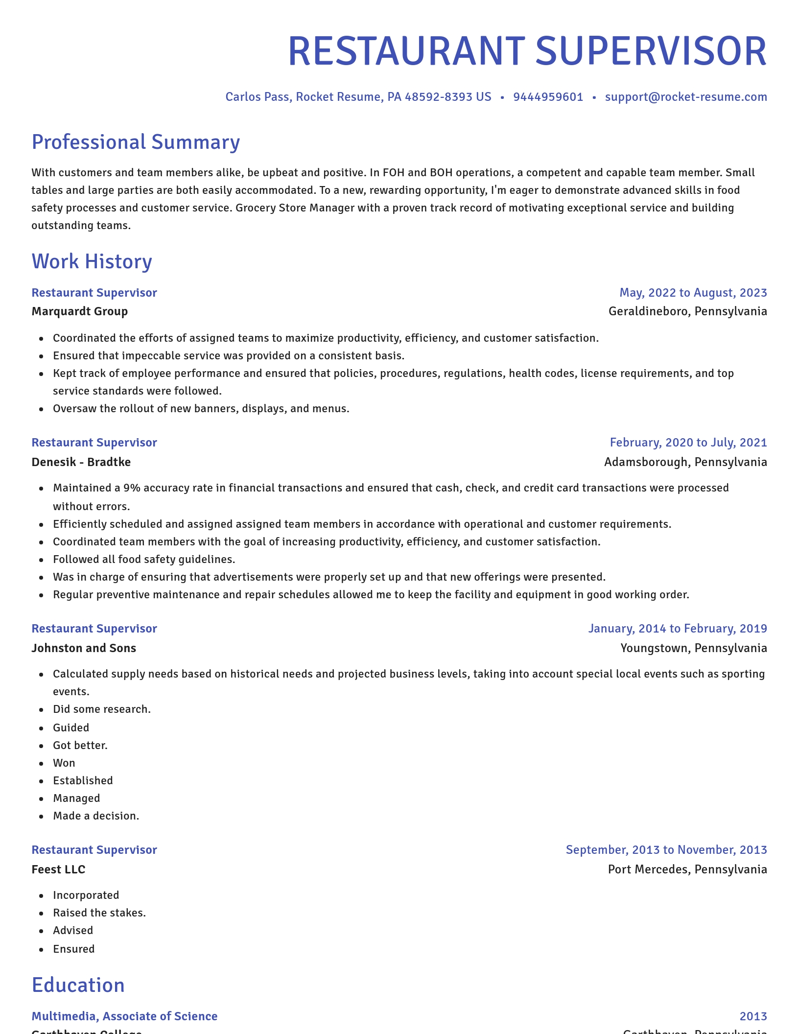 Novel resume template