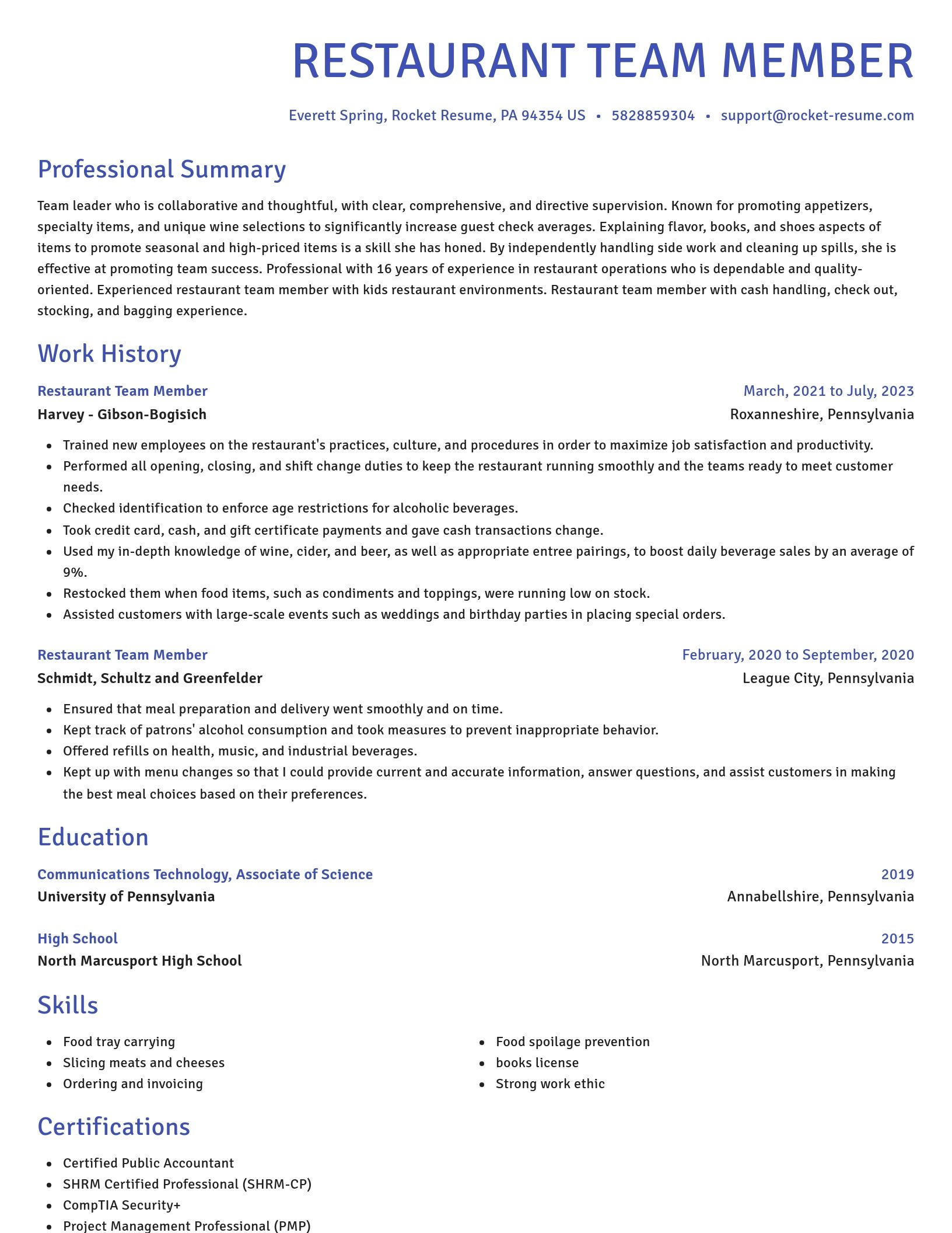 Novel resume template