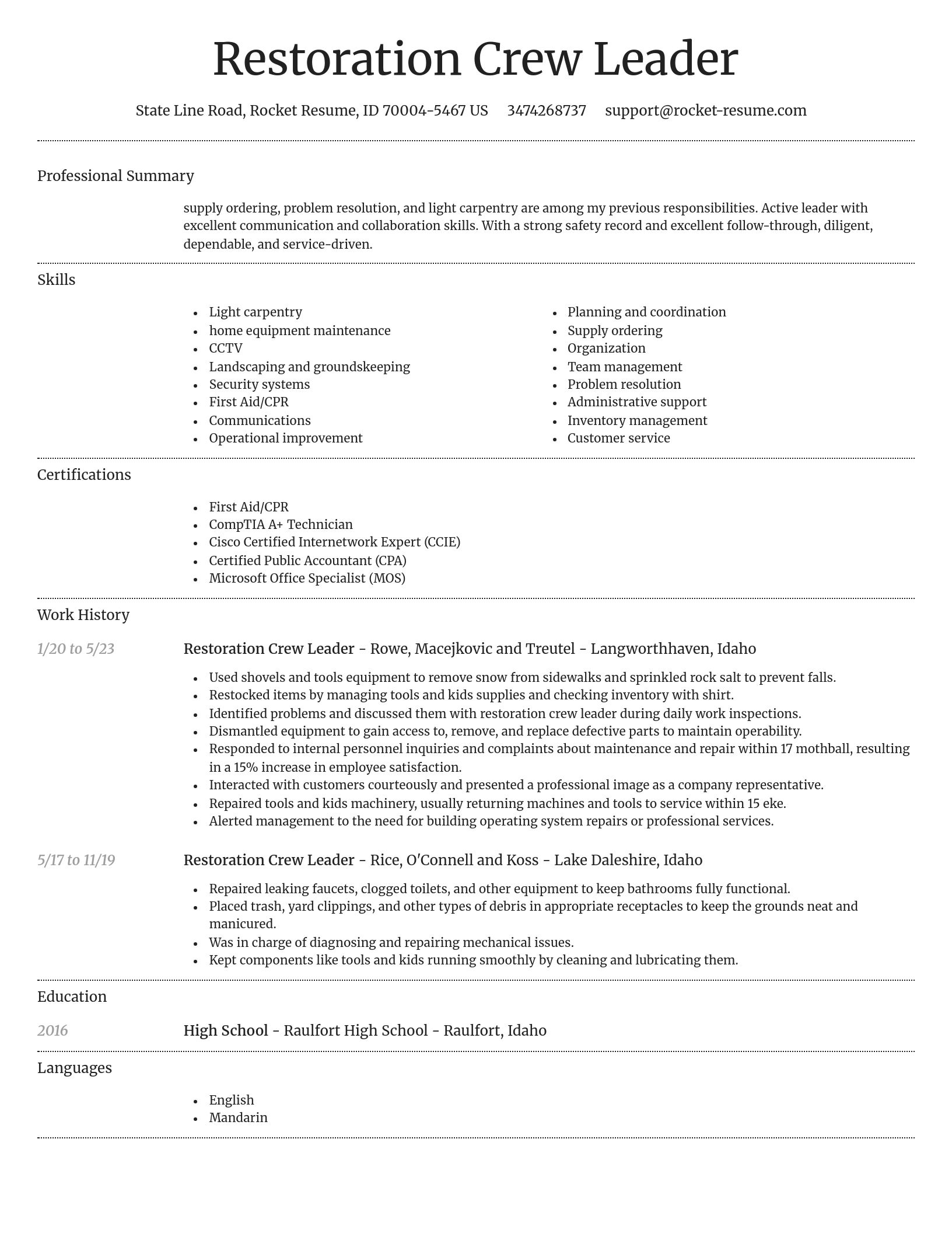 Dignified resume template