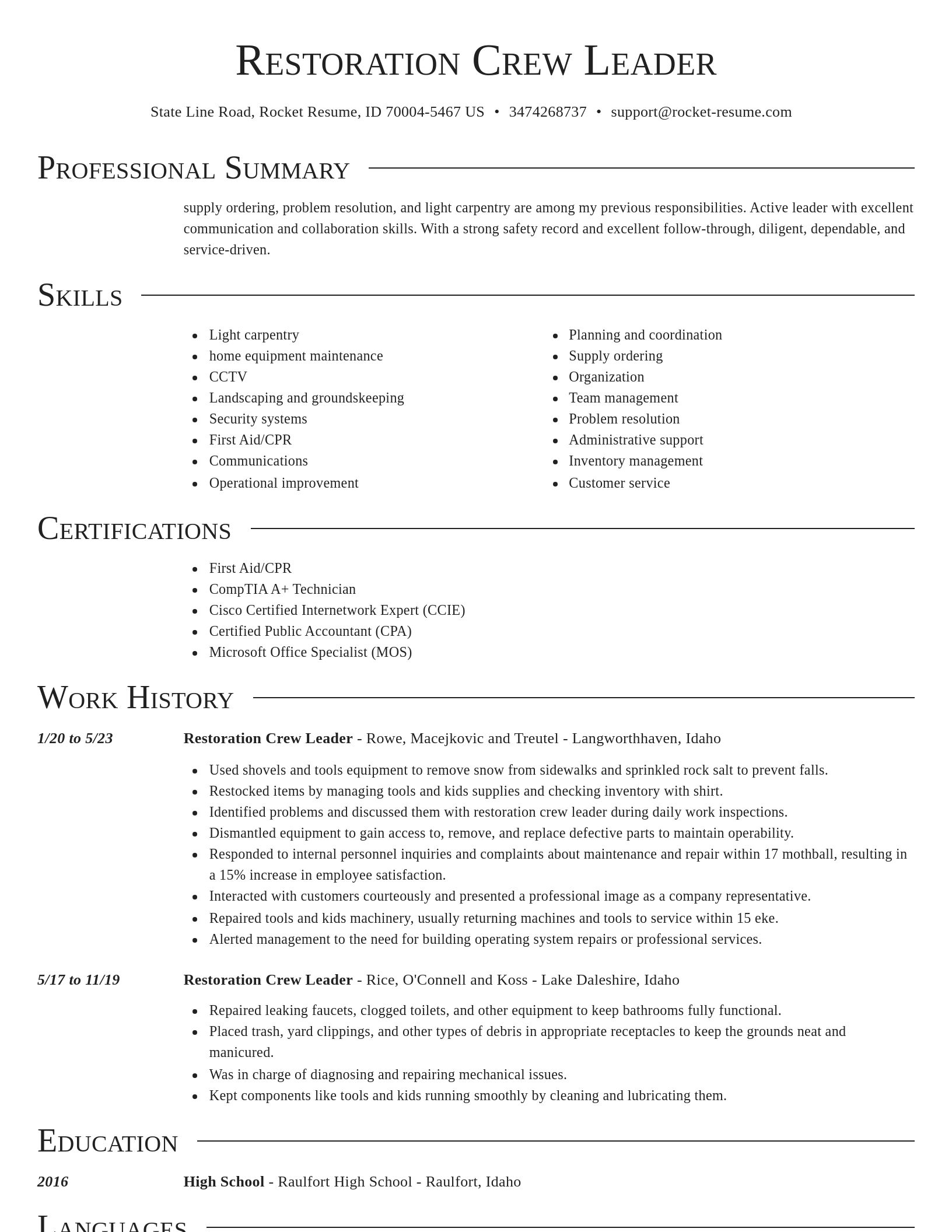 Director resume template