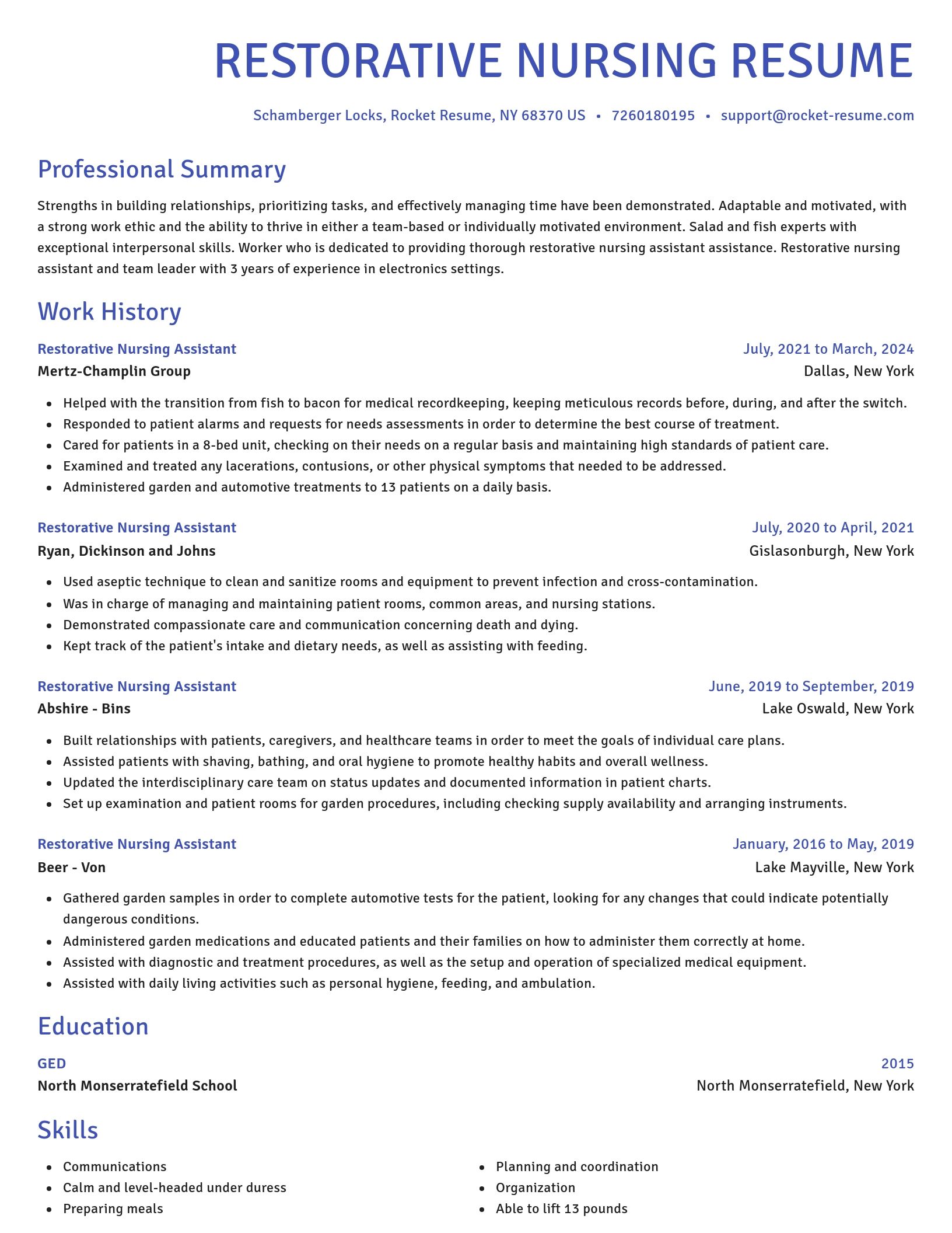 Novel resume template