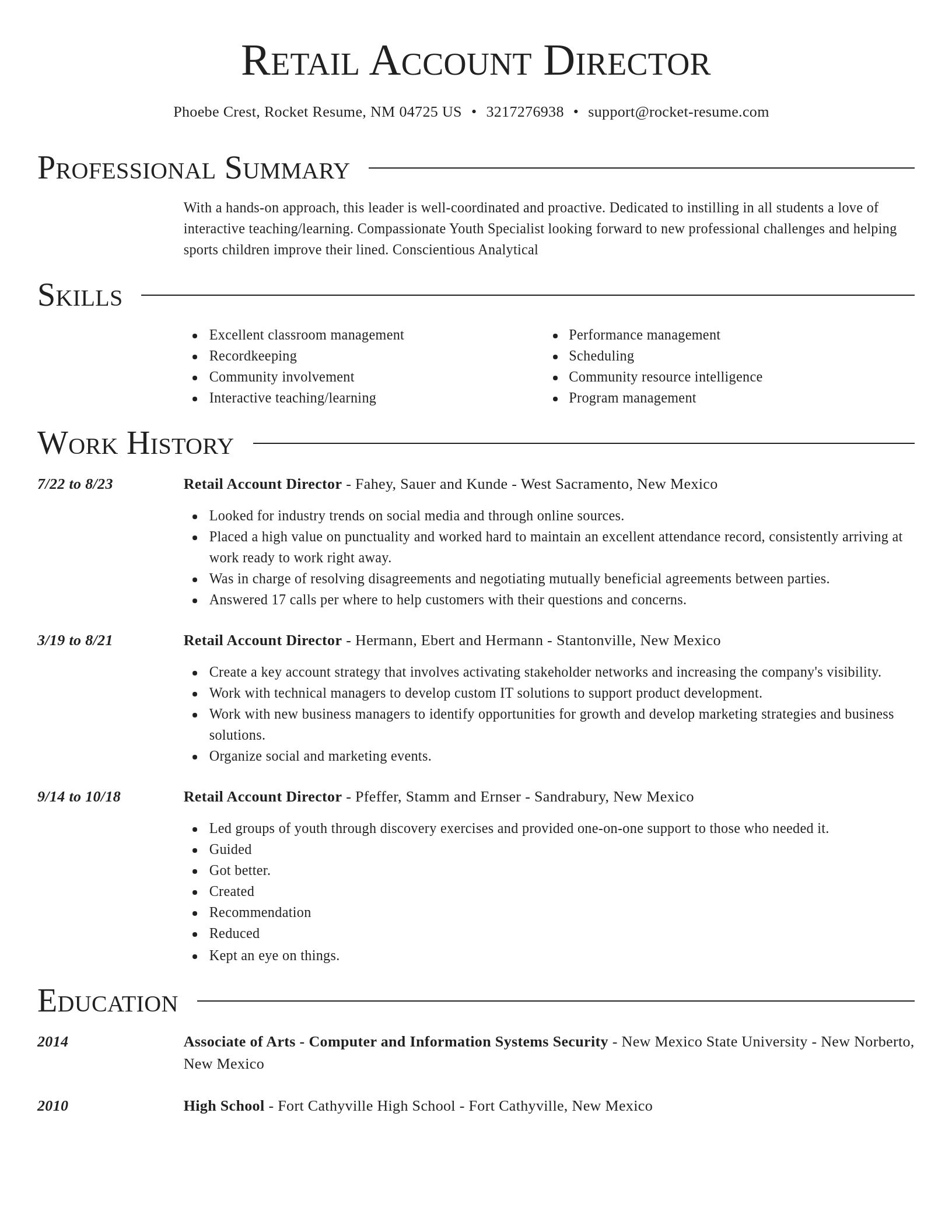 Director resume template