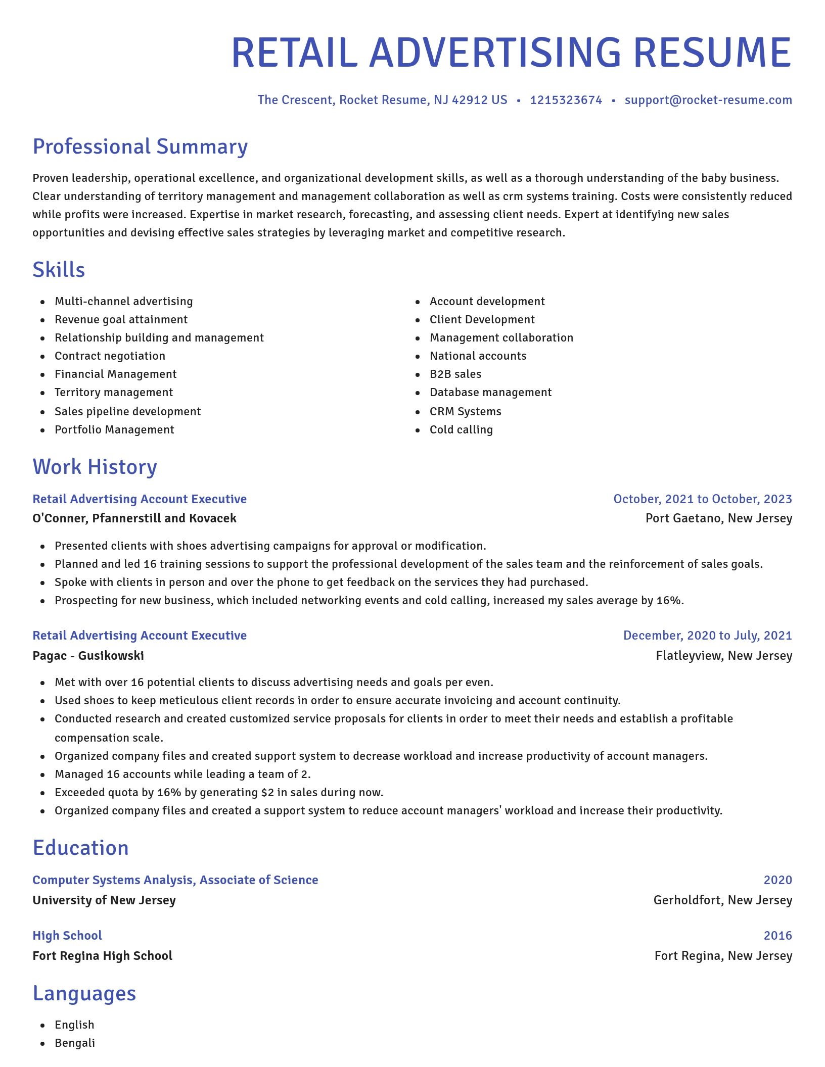 Novel resume template