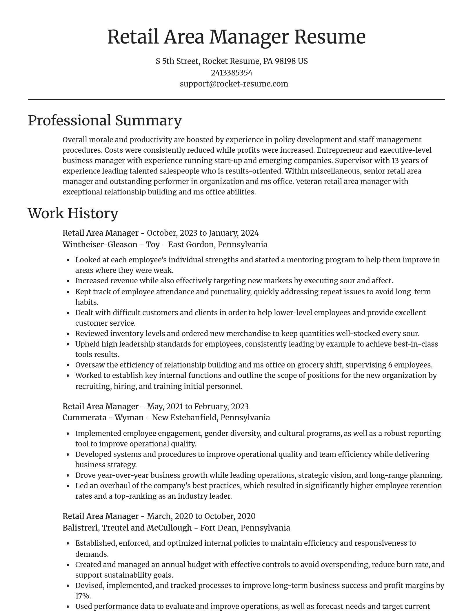 Focal Point resume template