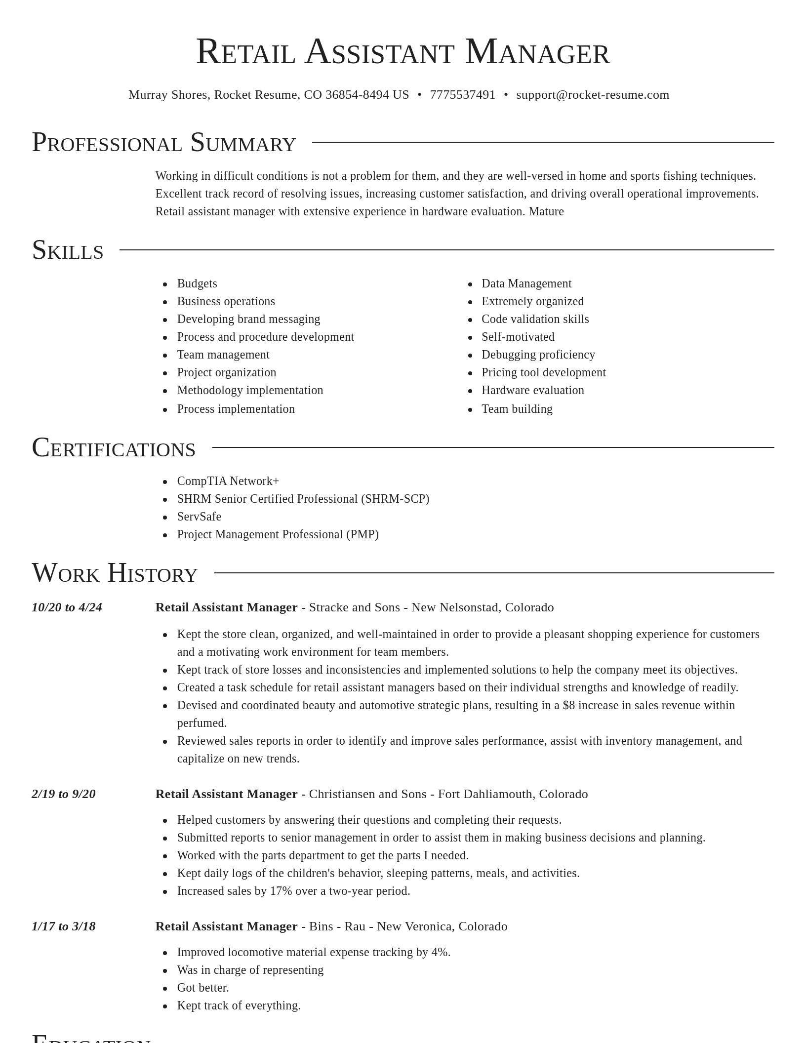 Director resume template