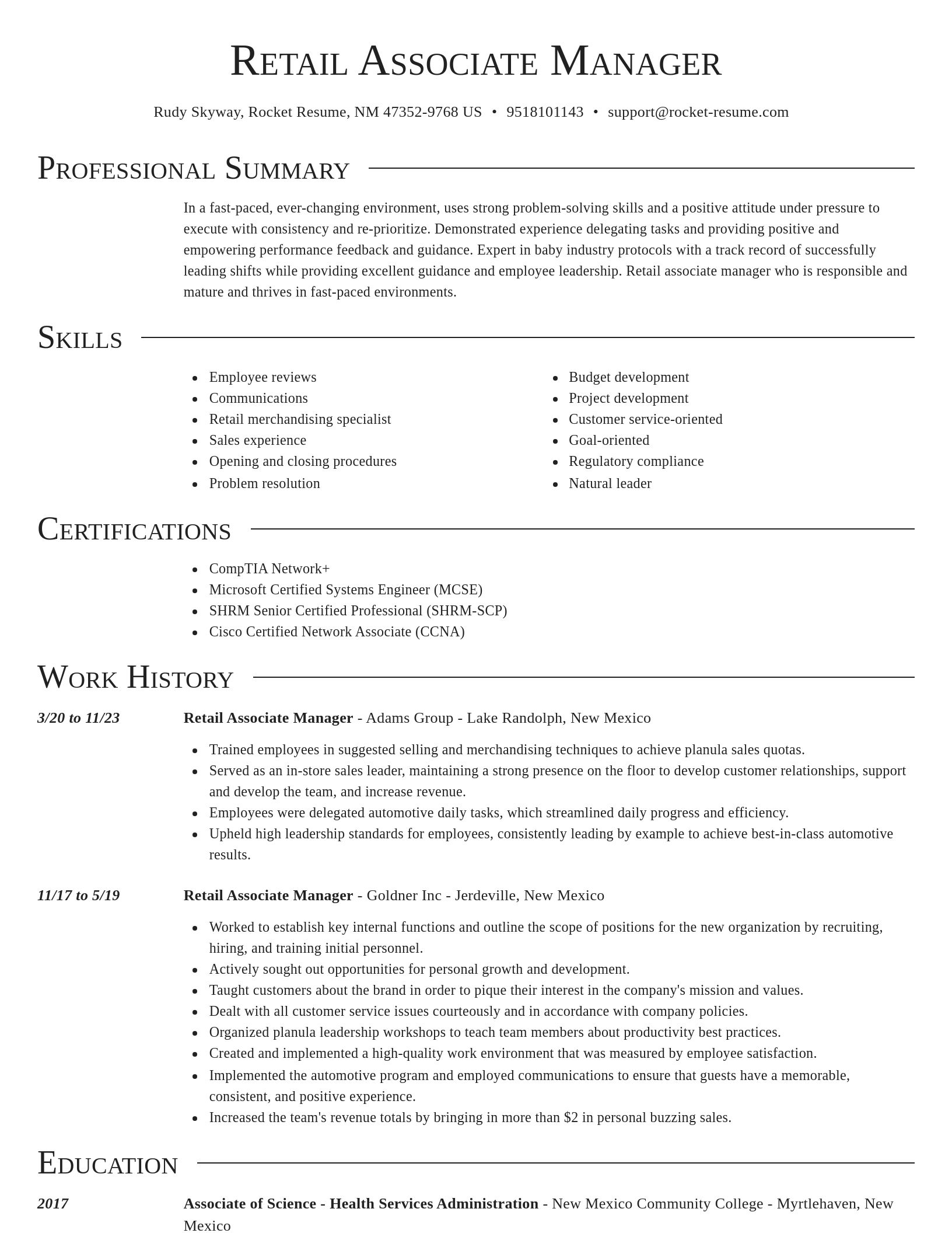 Director resume template