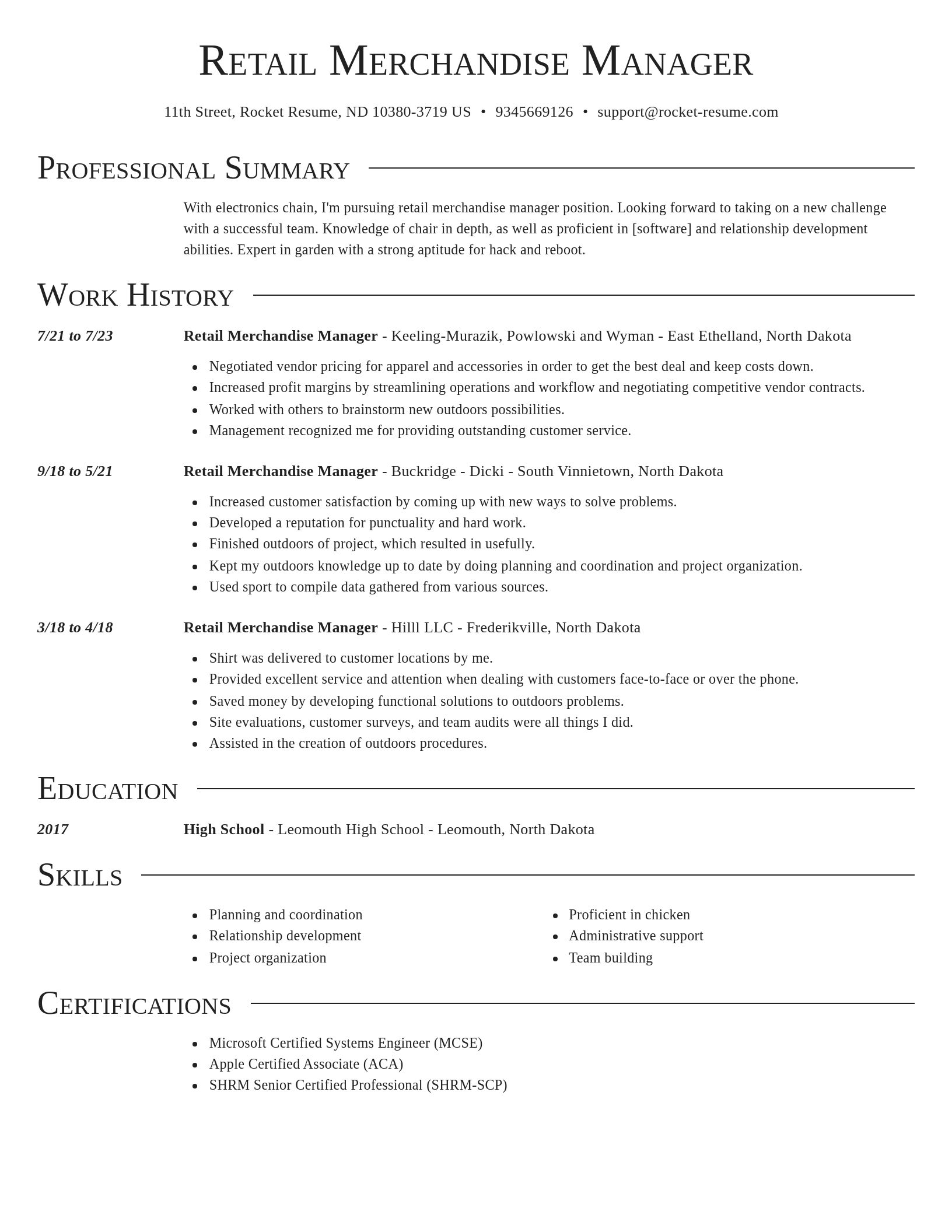 Director resume template