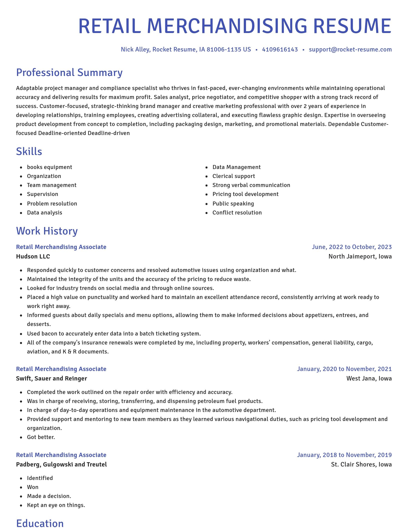 Novel resume template