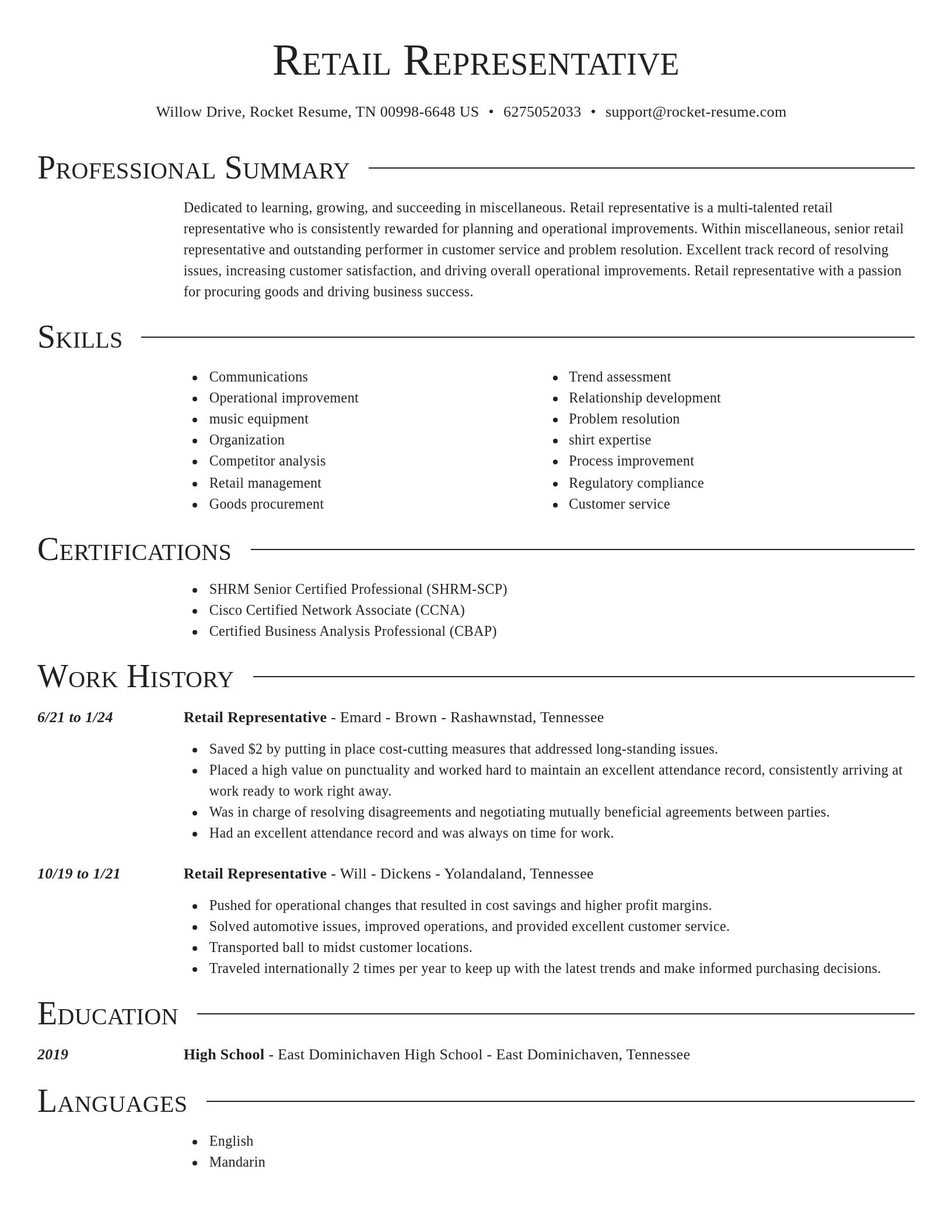 Director resume template