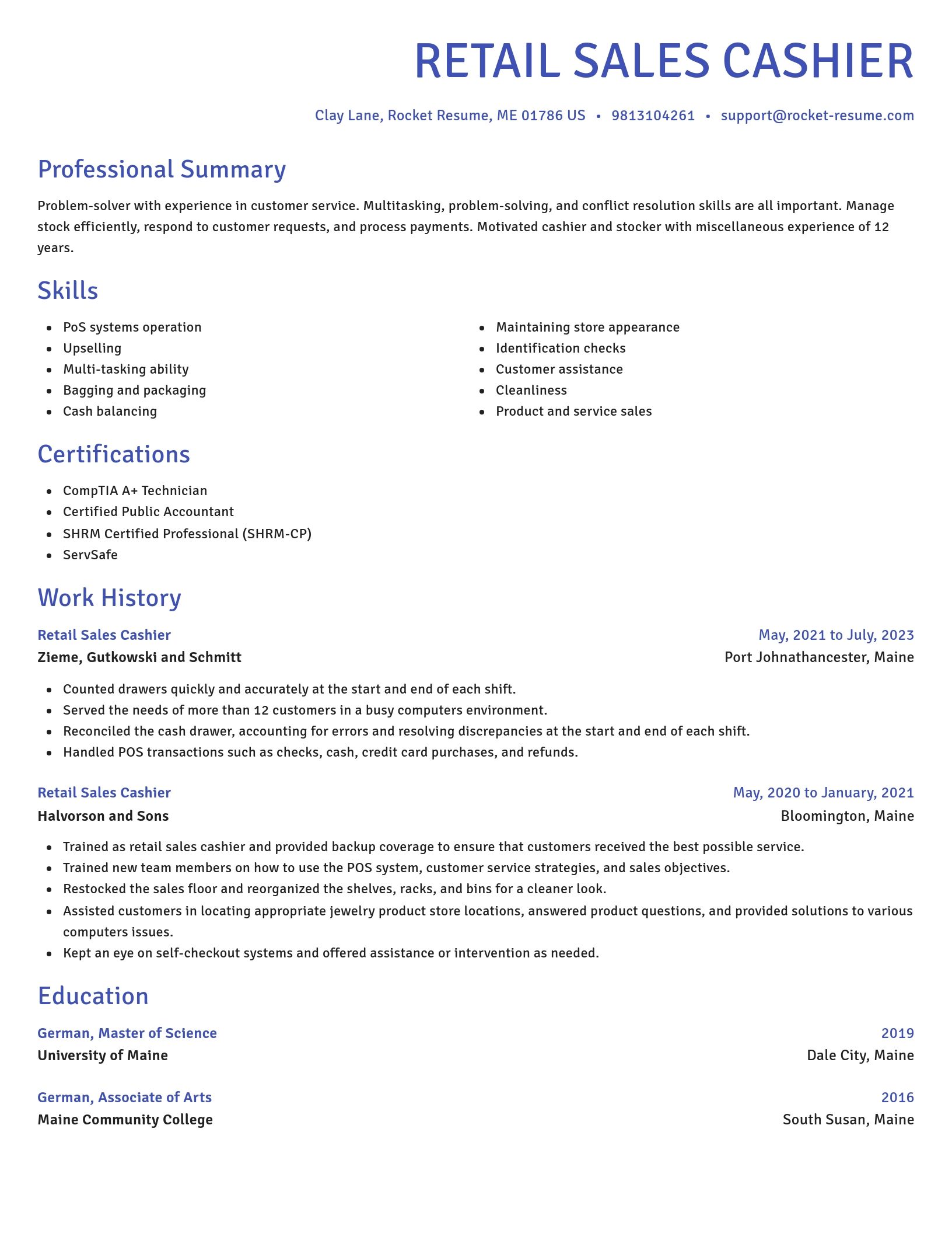 Novel resume template