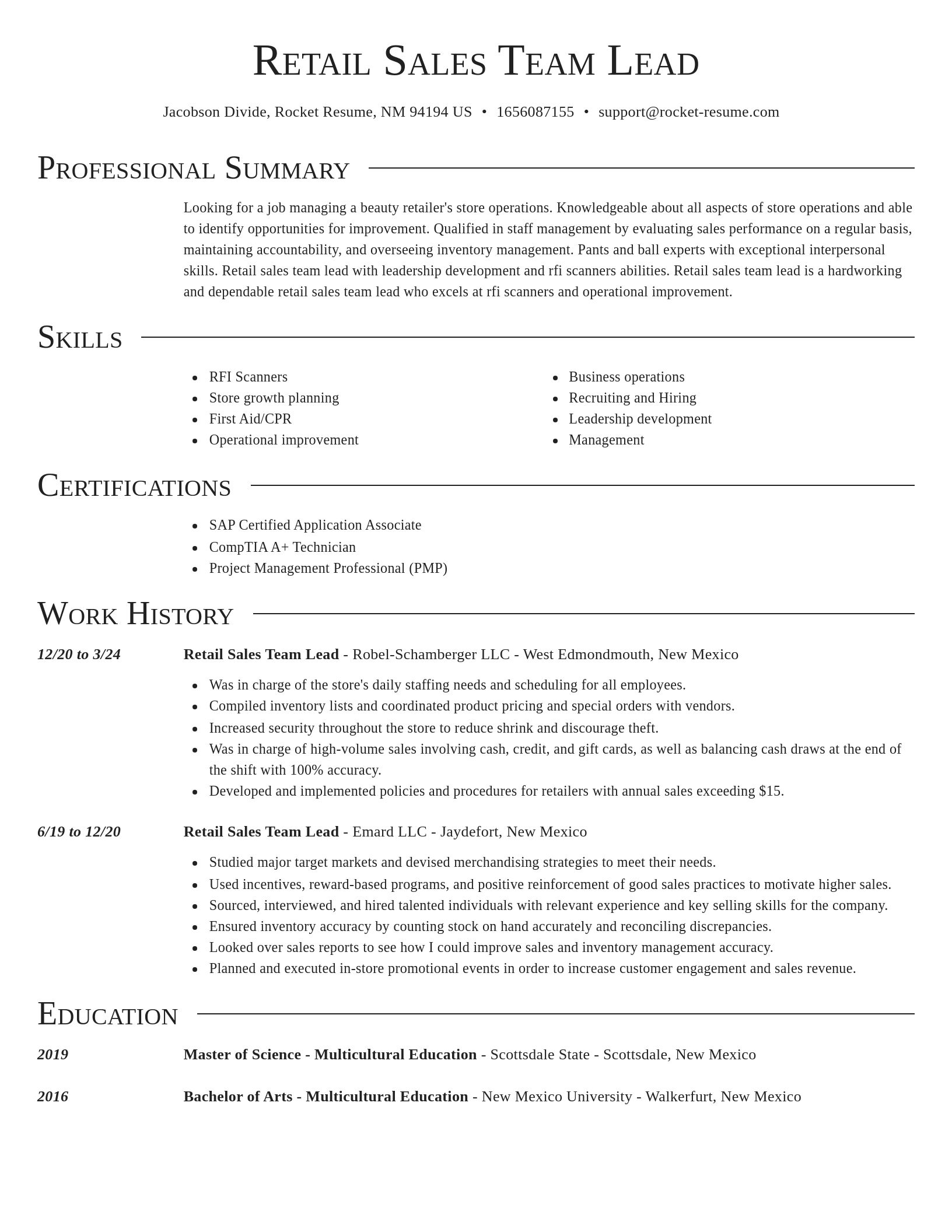 Director resume template