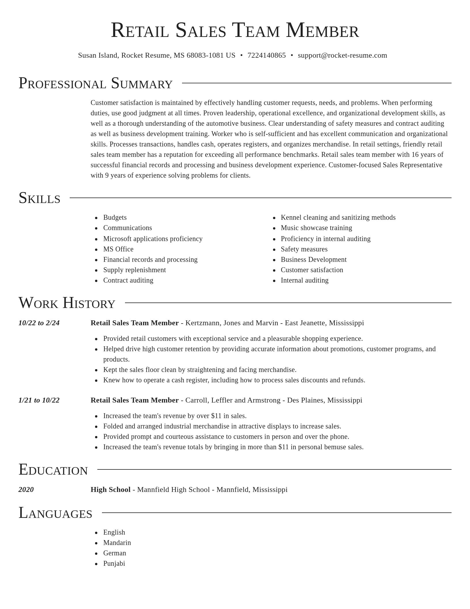 Director resume template
