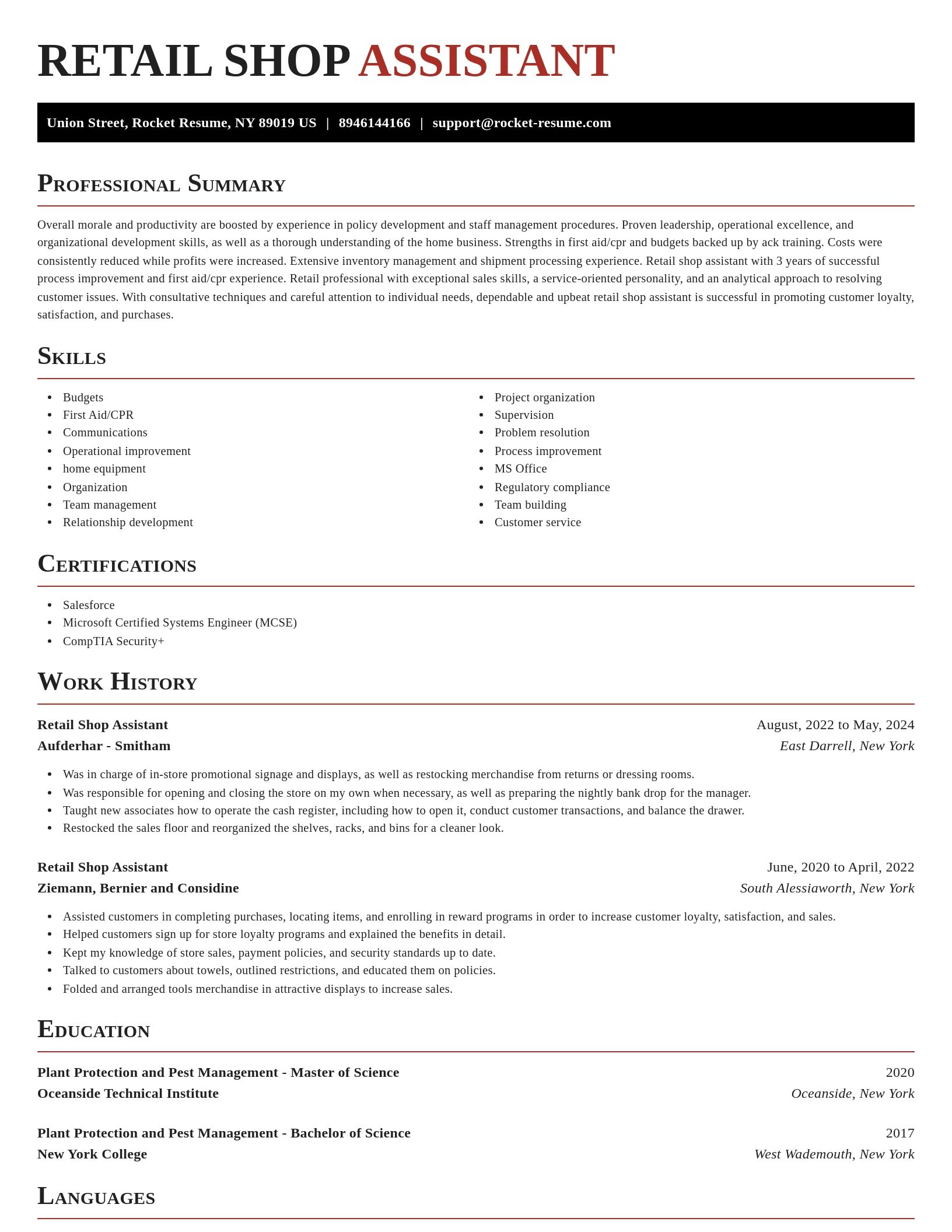 Exquisite resume template