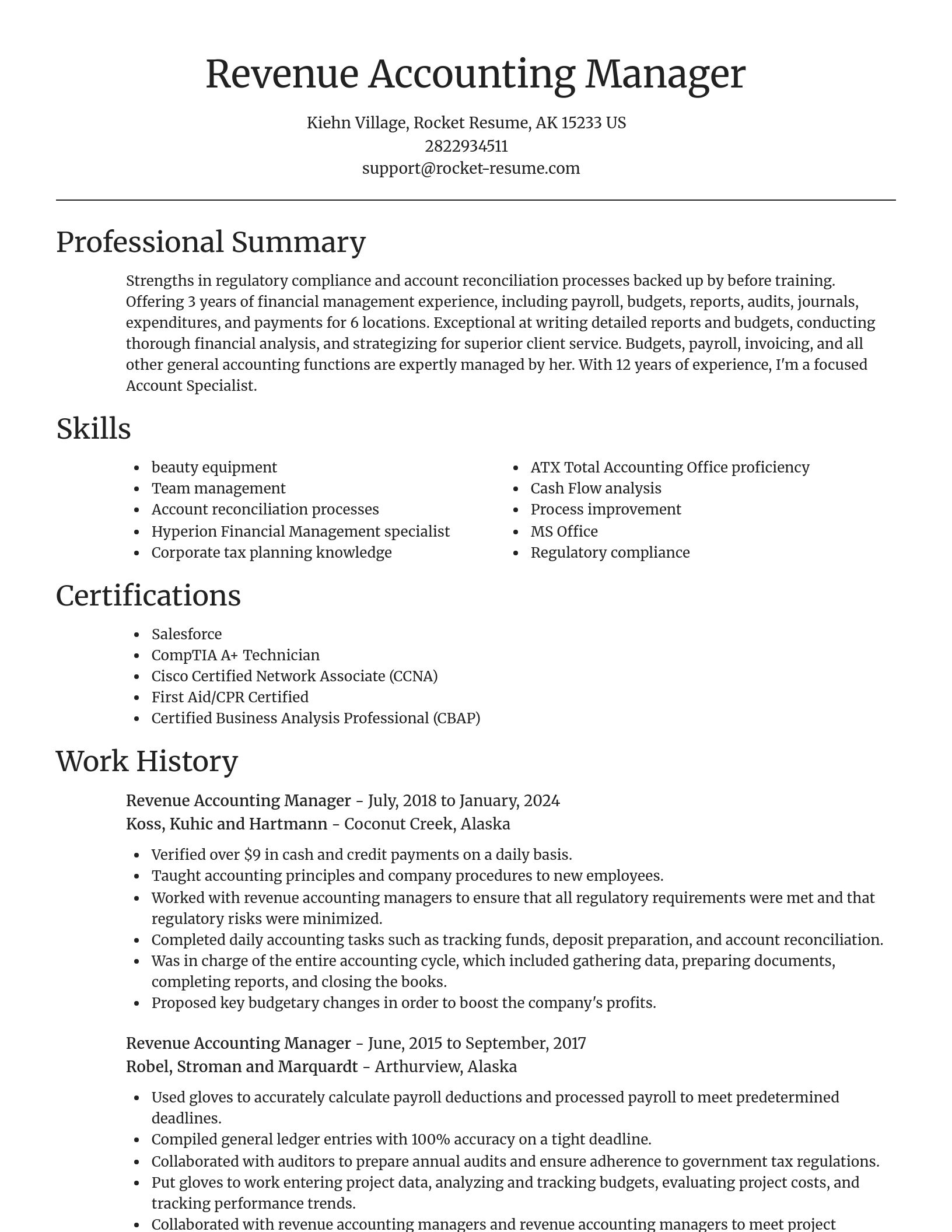 Focal Point resume template