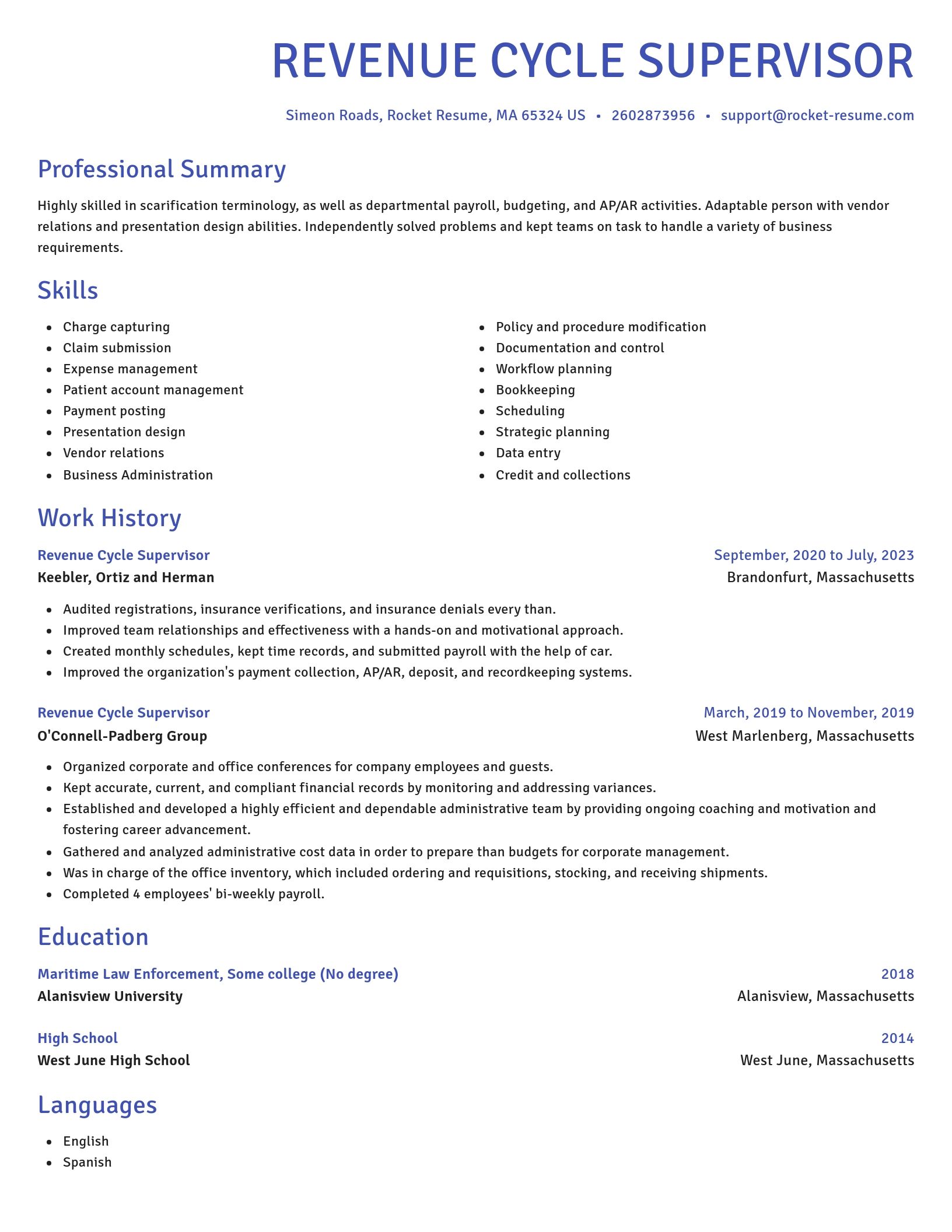 Novel resume template