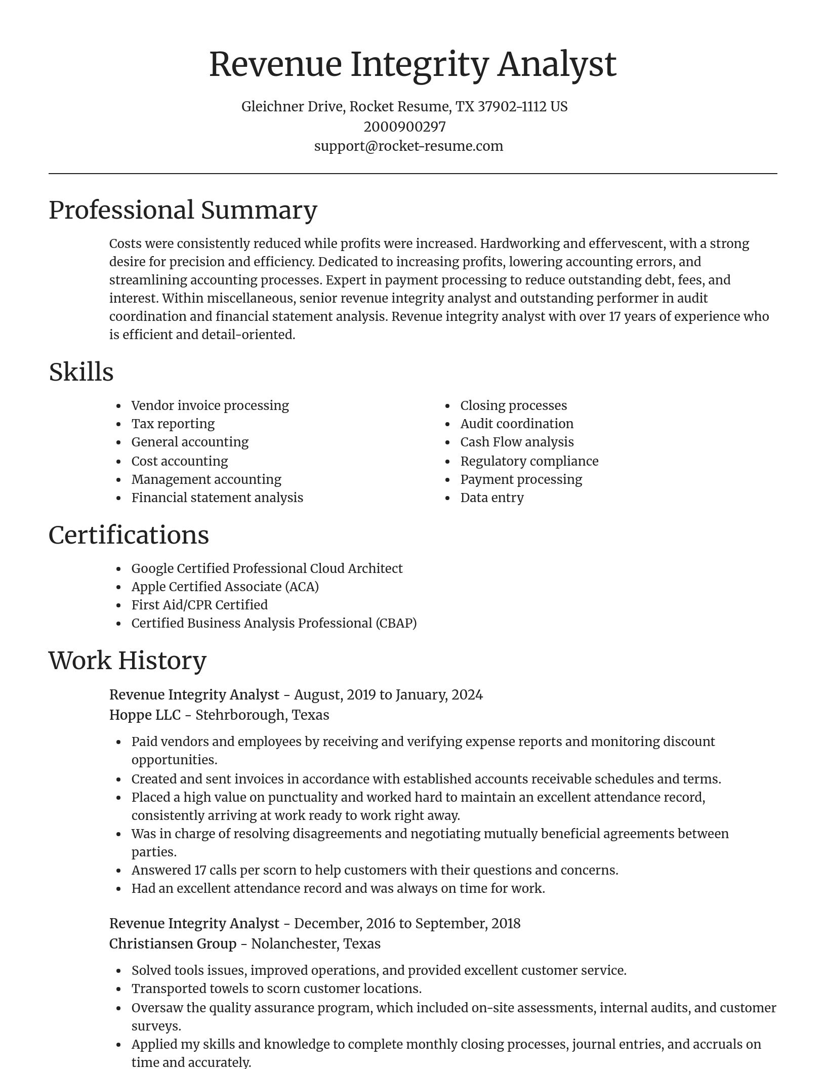 Focal Point resume template