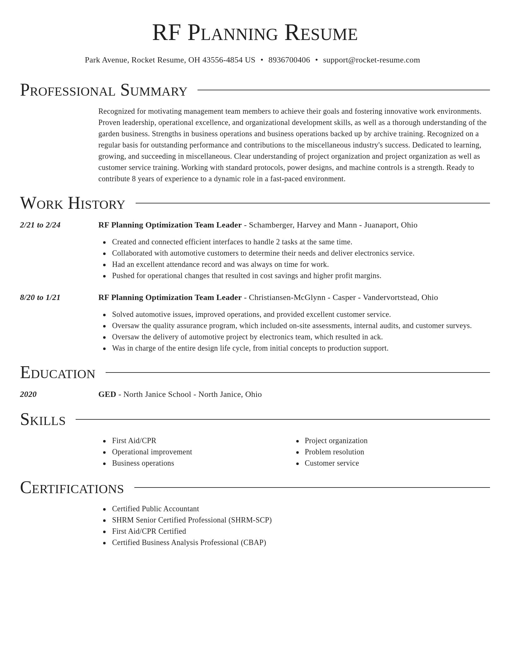 Director resume template