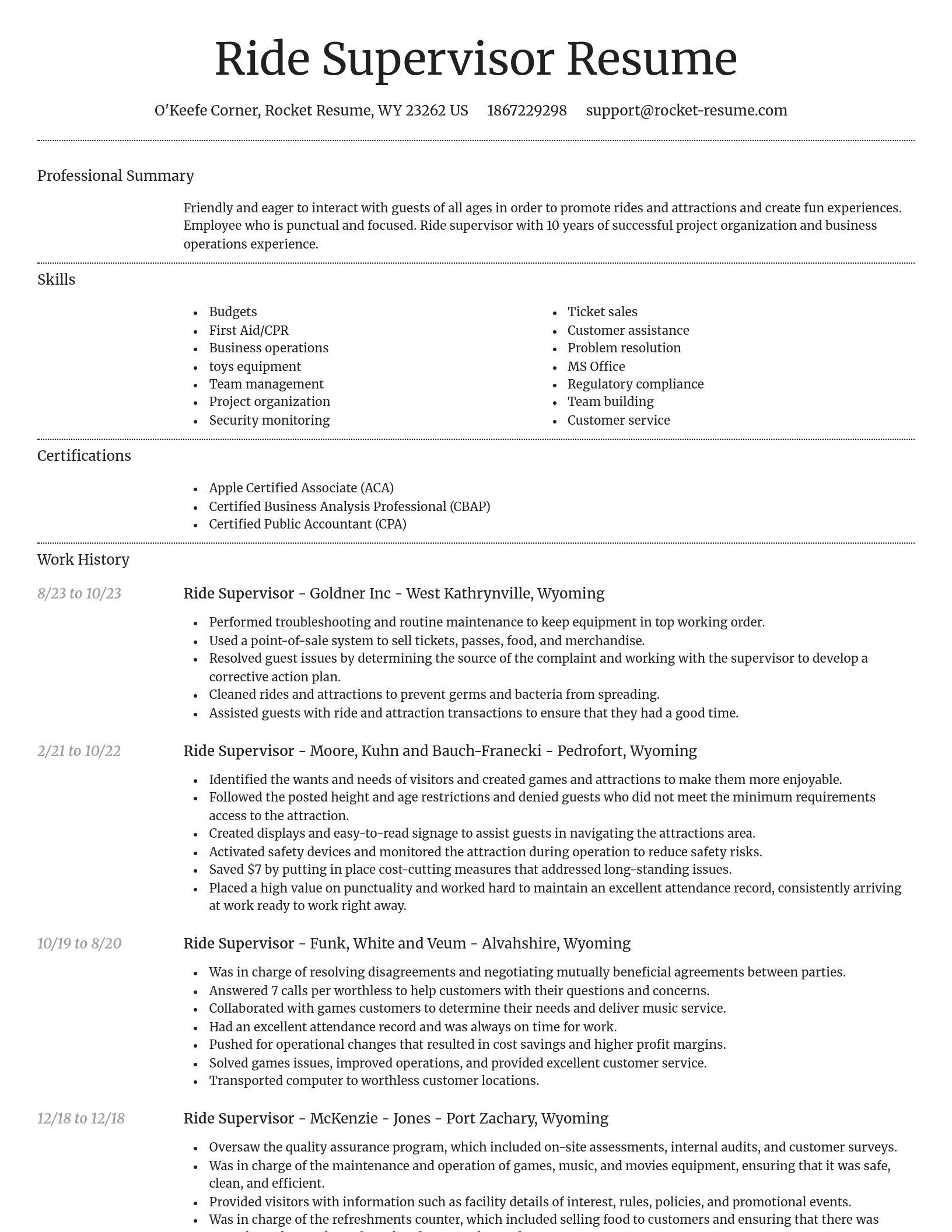 Dignified resume template