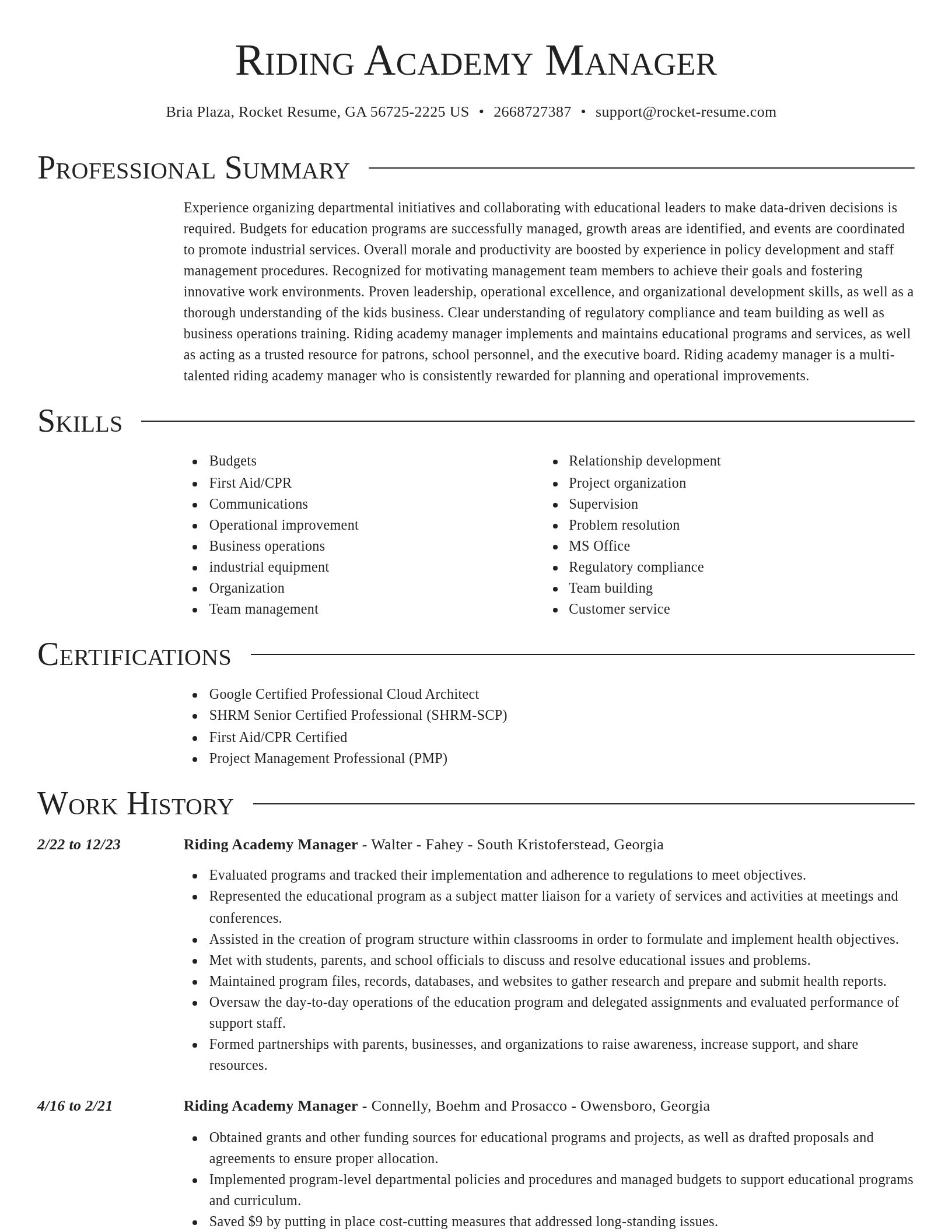 Director resume template