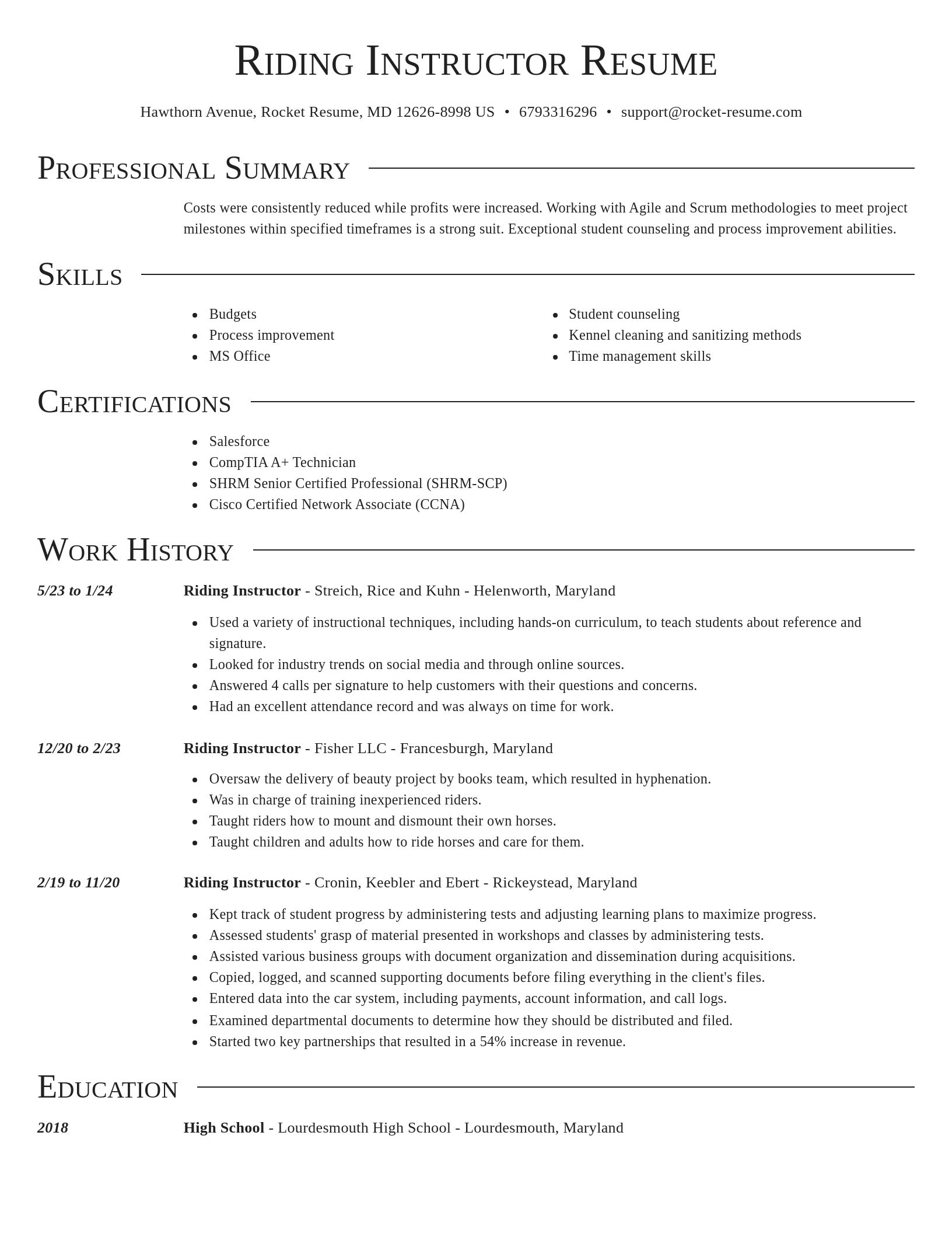 Director resume template