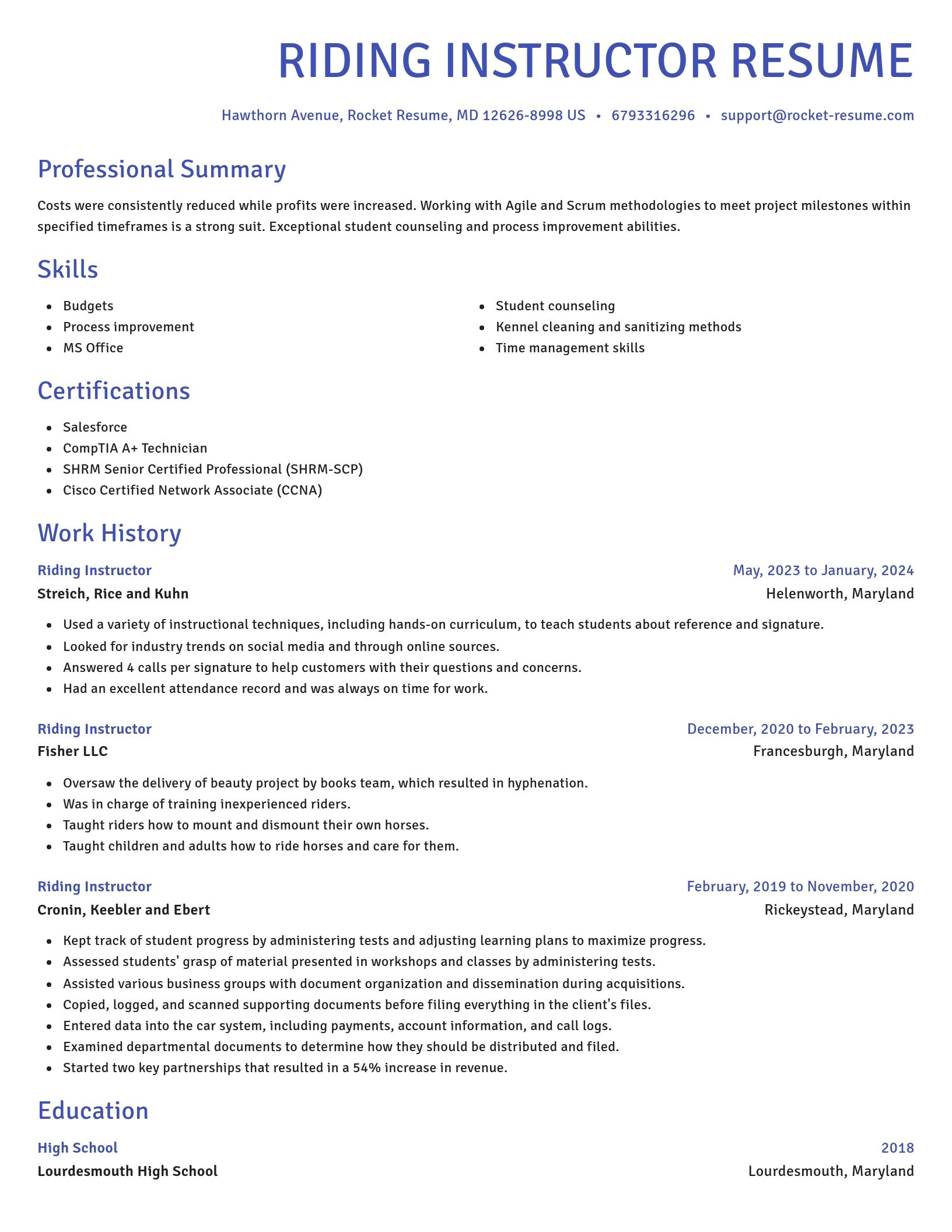 Novel resume template