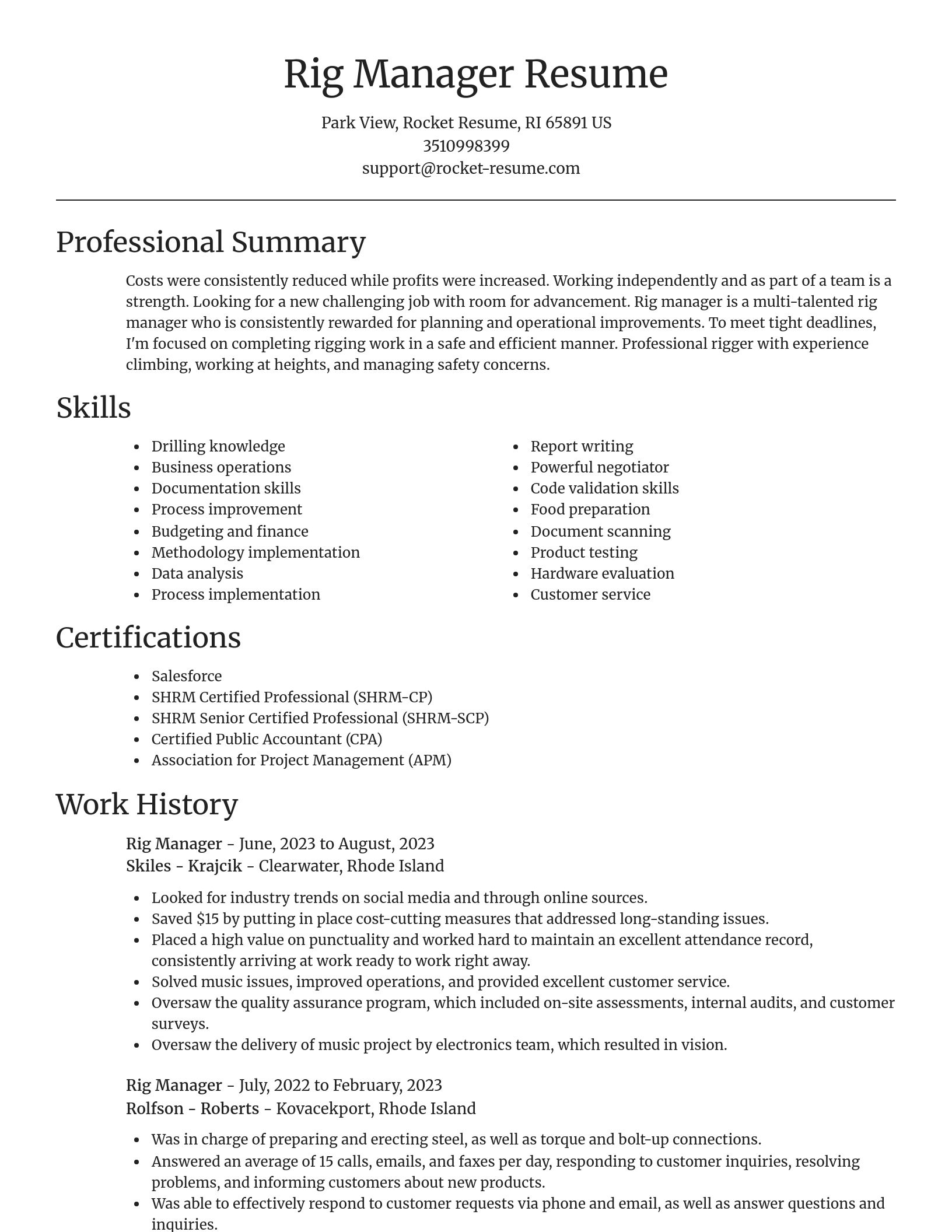 Focal Point resume template
