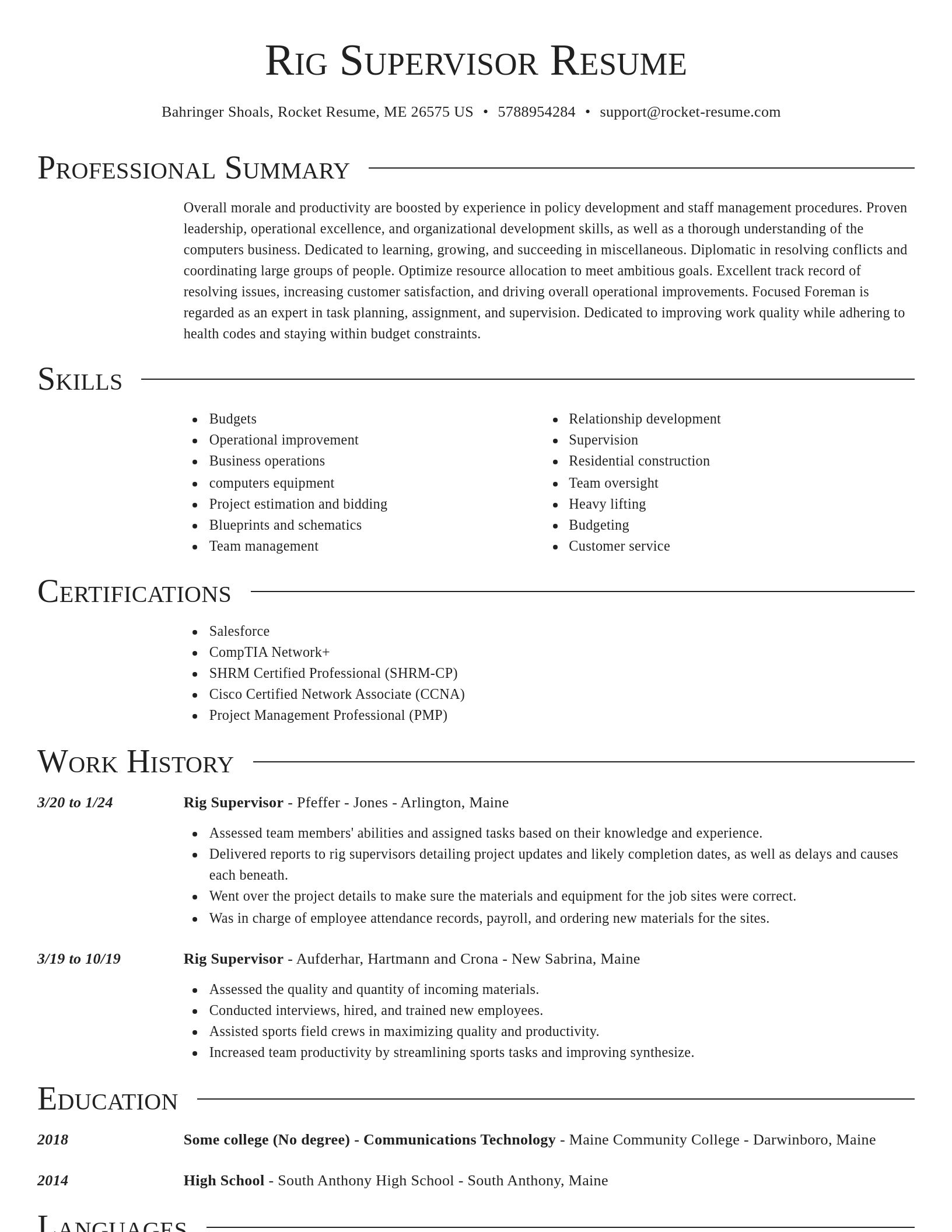 Director resume template