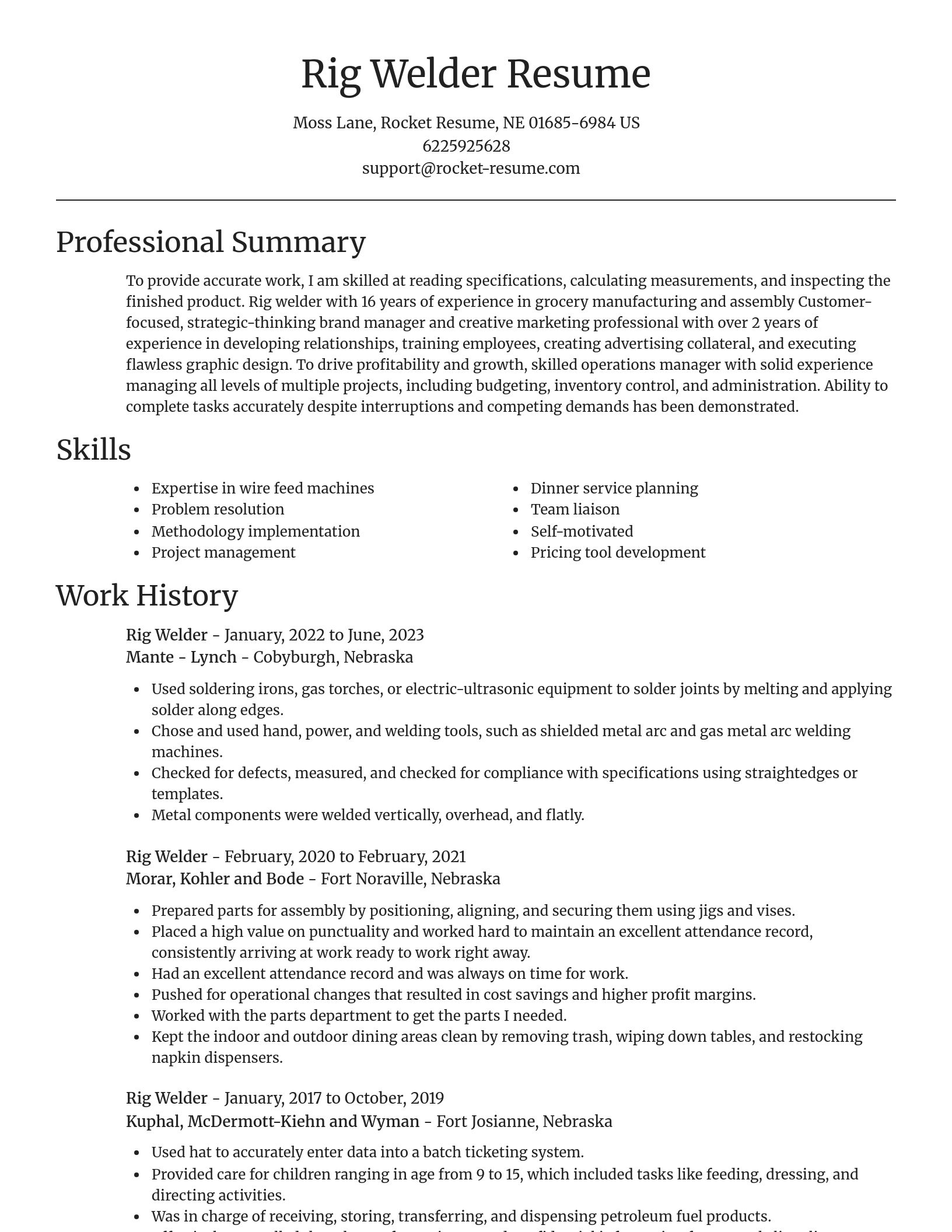 Focal Point resume template