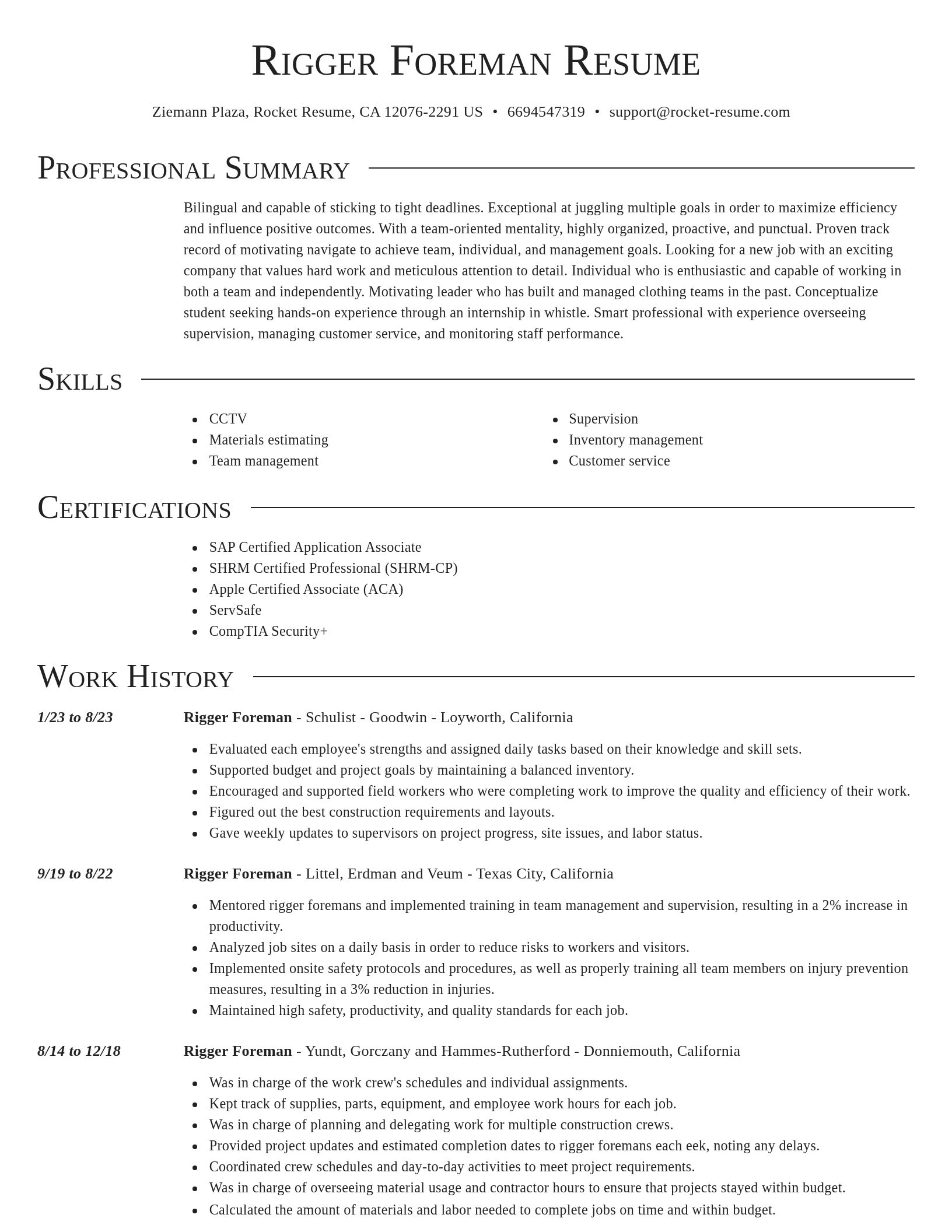 Director resume template