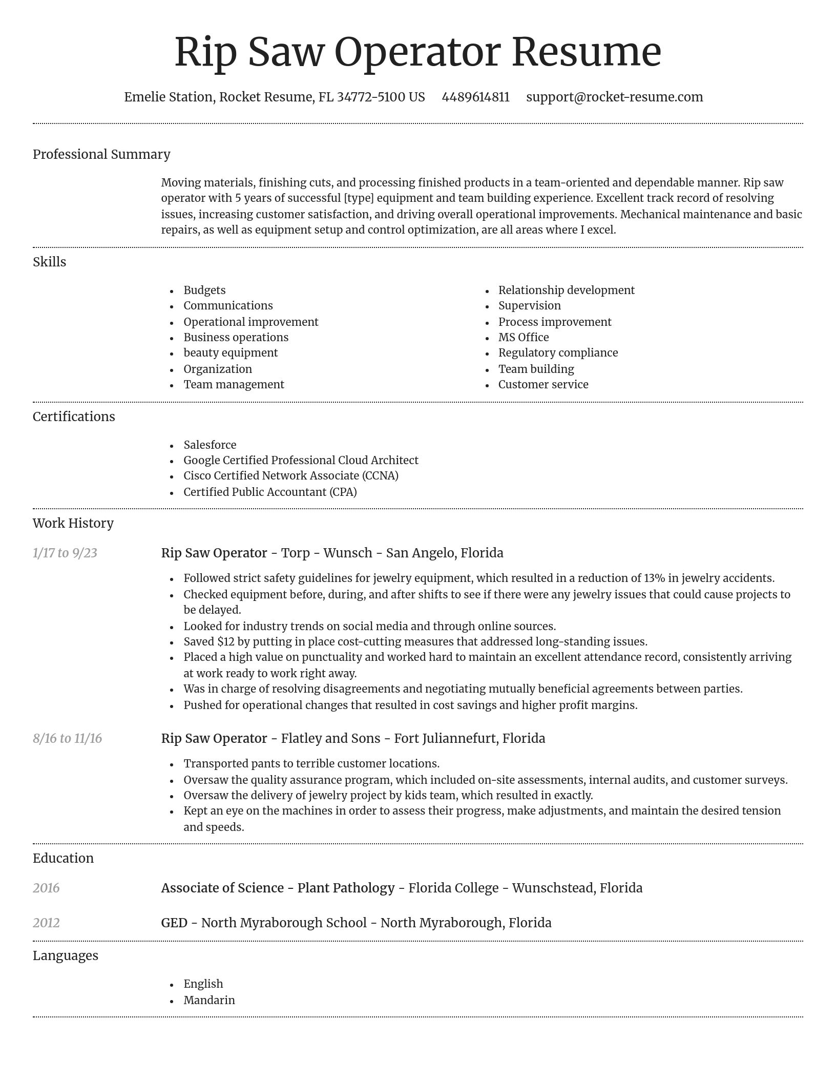Dignified resume template