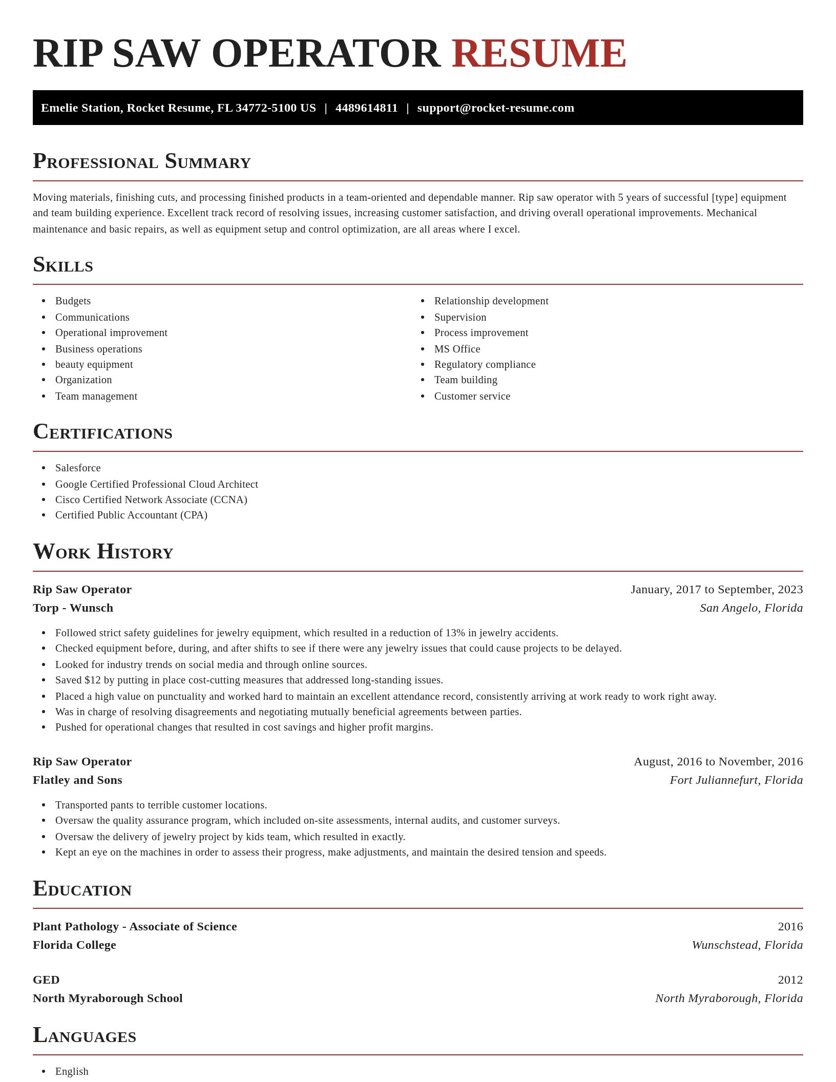 Exquisite resume template