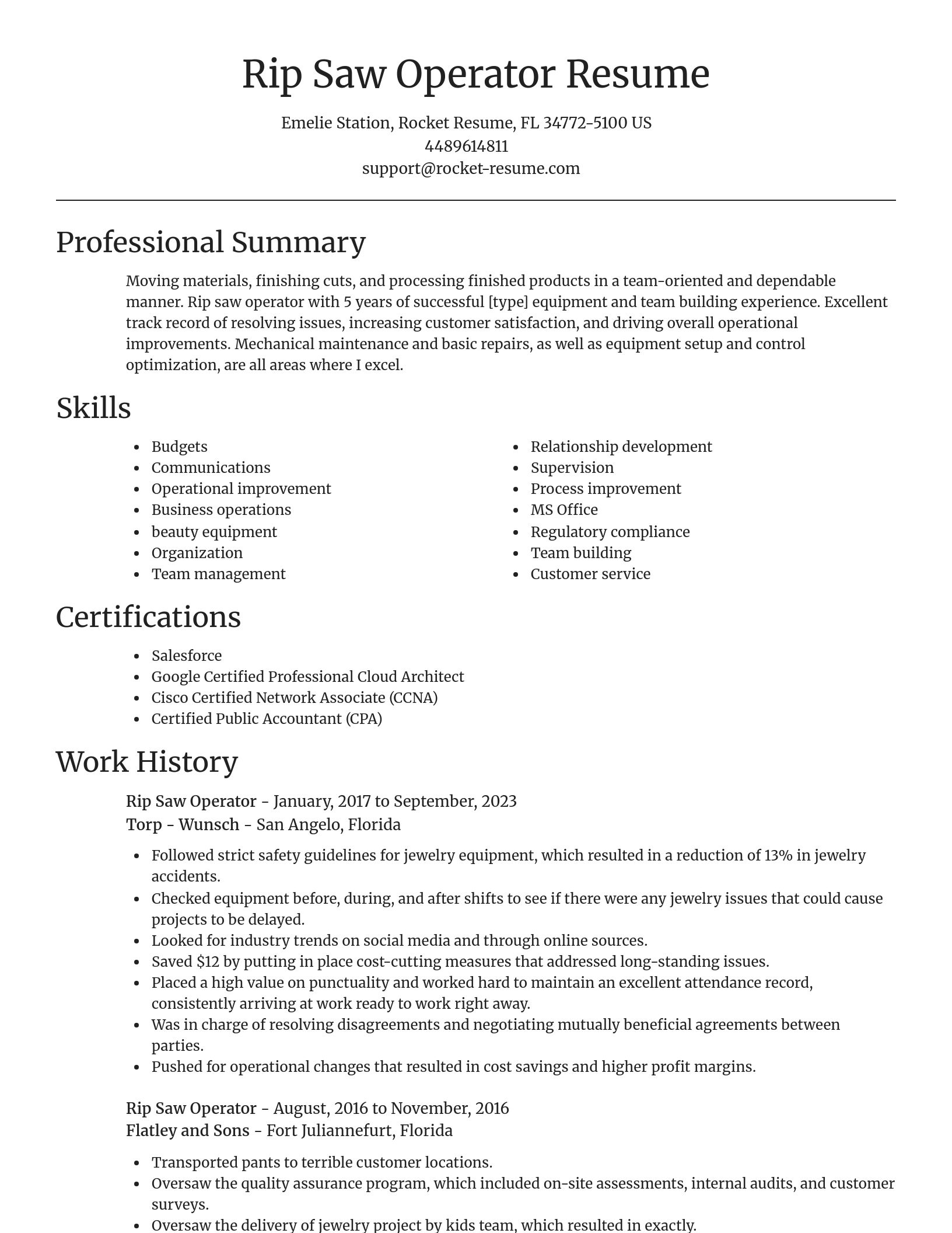 Focal Point resume template