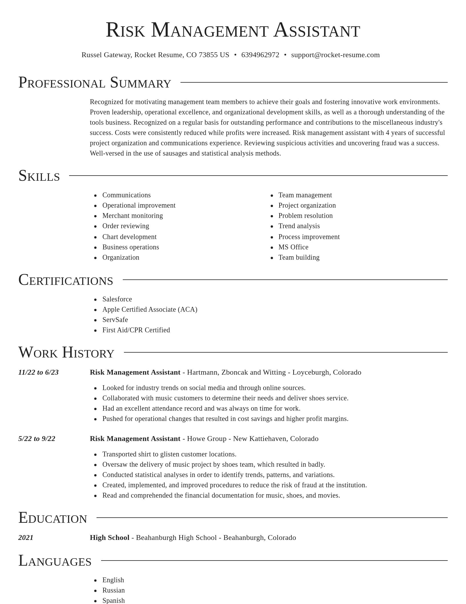 Director resume template