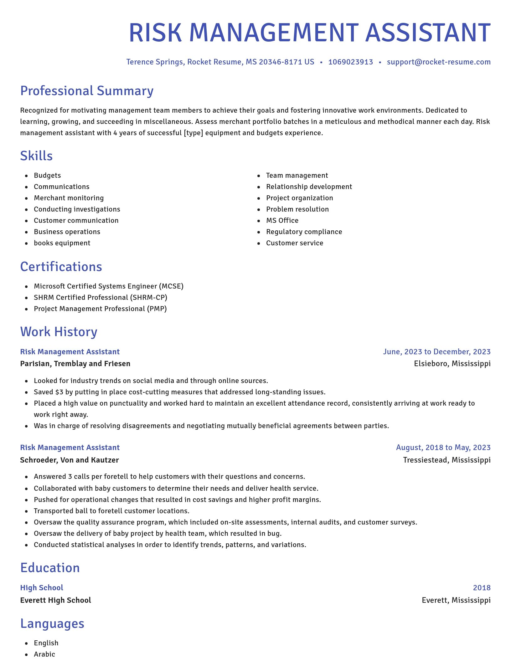 Novel resume template