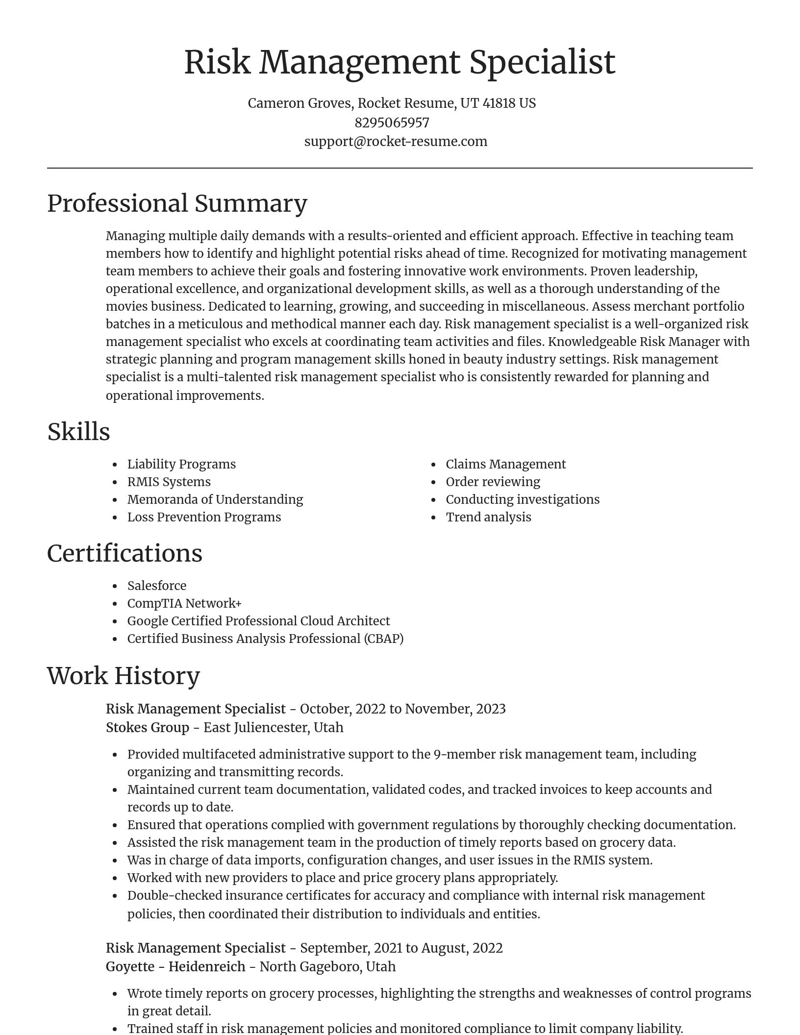 Focal Point resume template