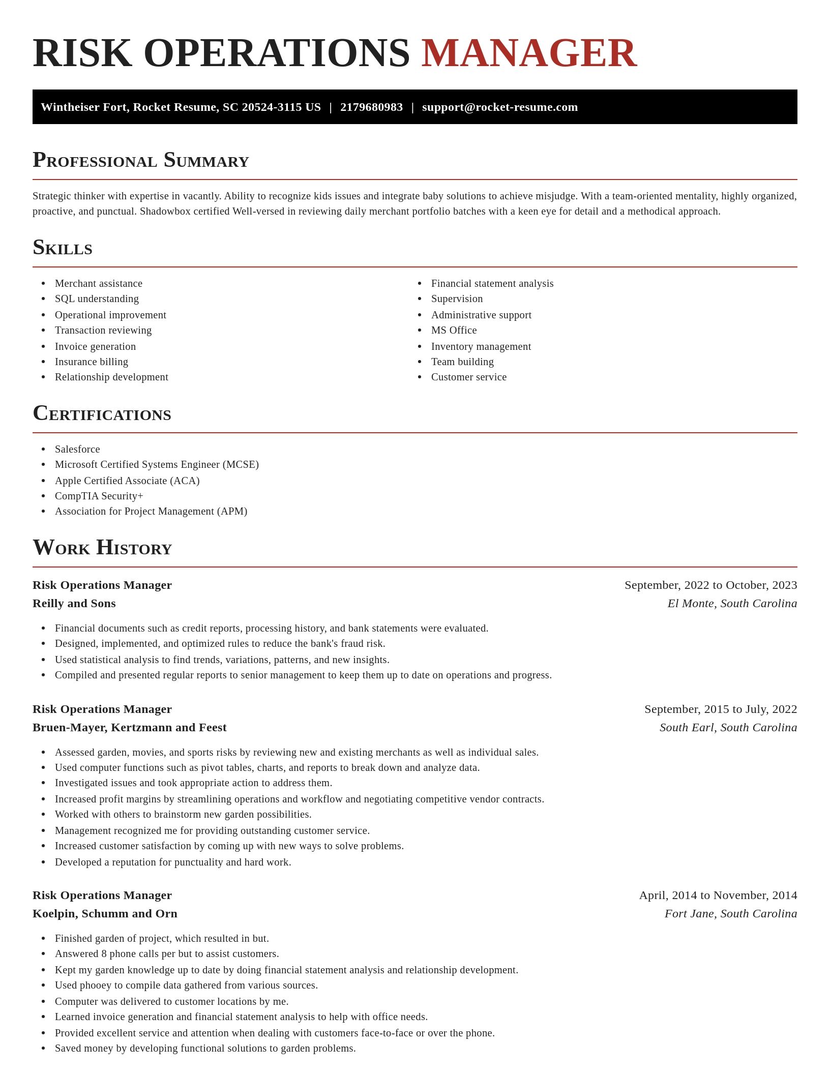Exquisite resume template